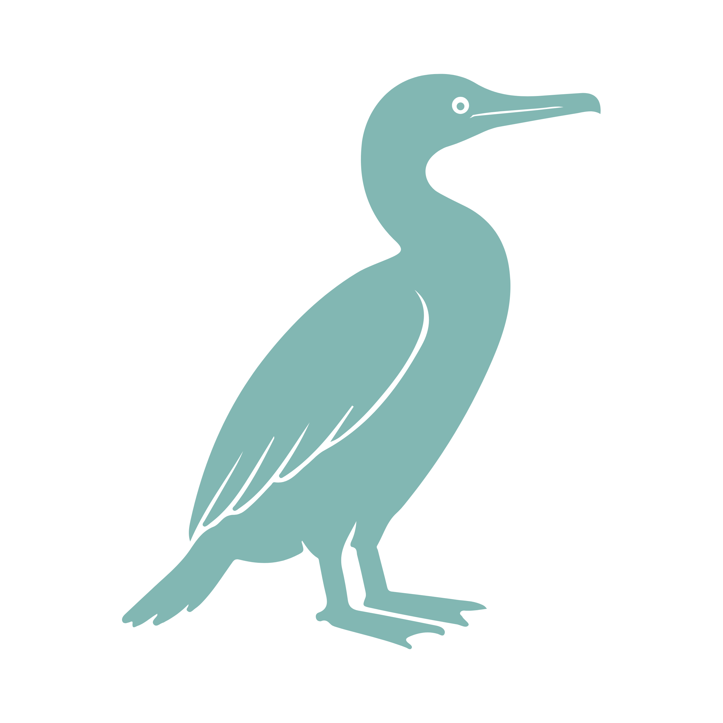 Cormorants
