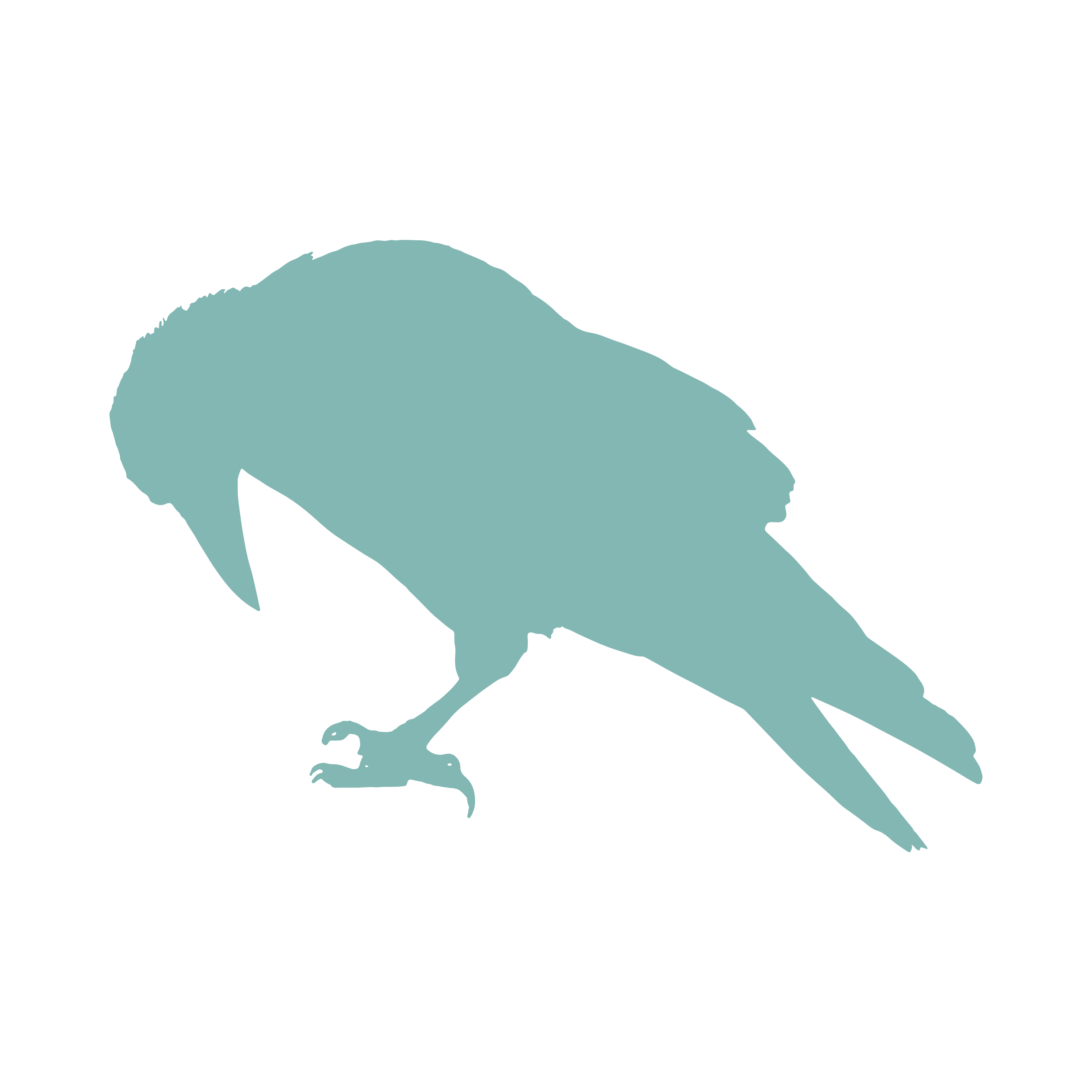 Crows & Ravens