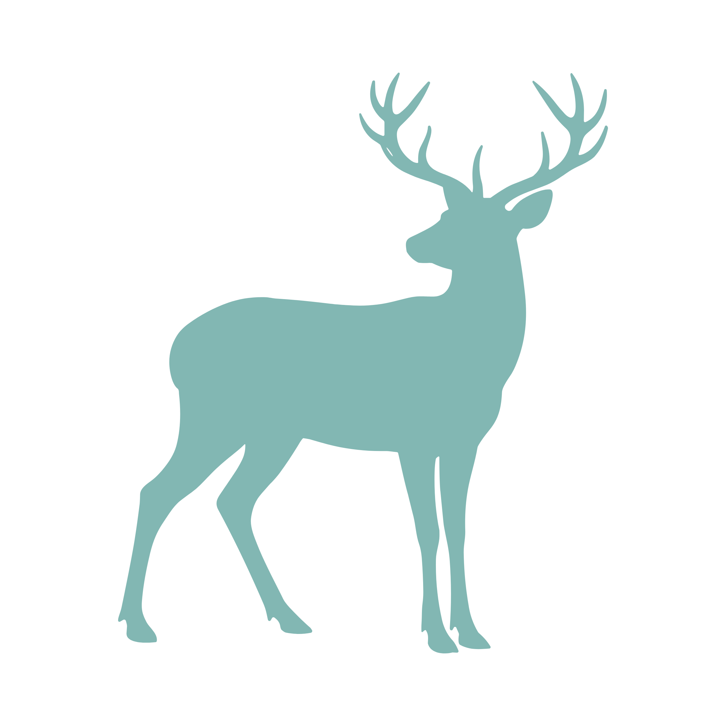 Deer