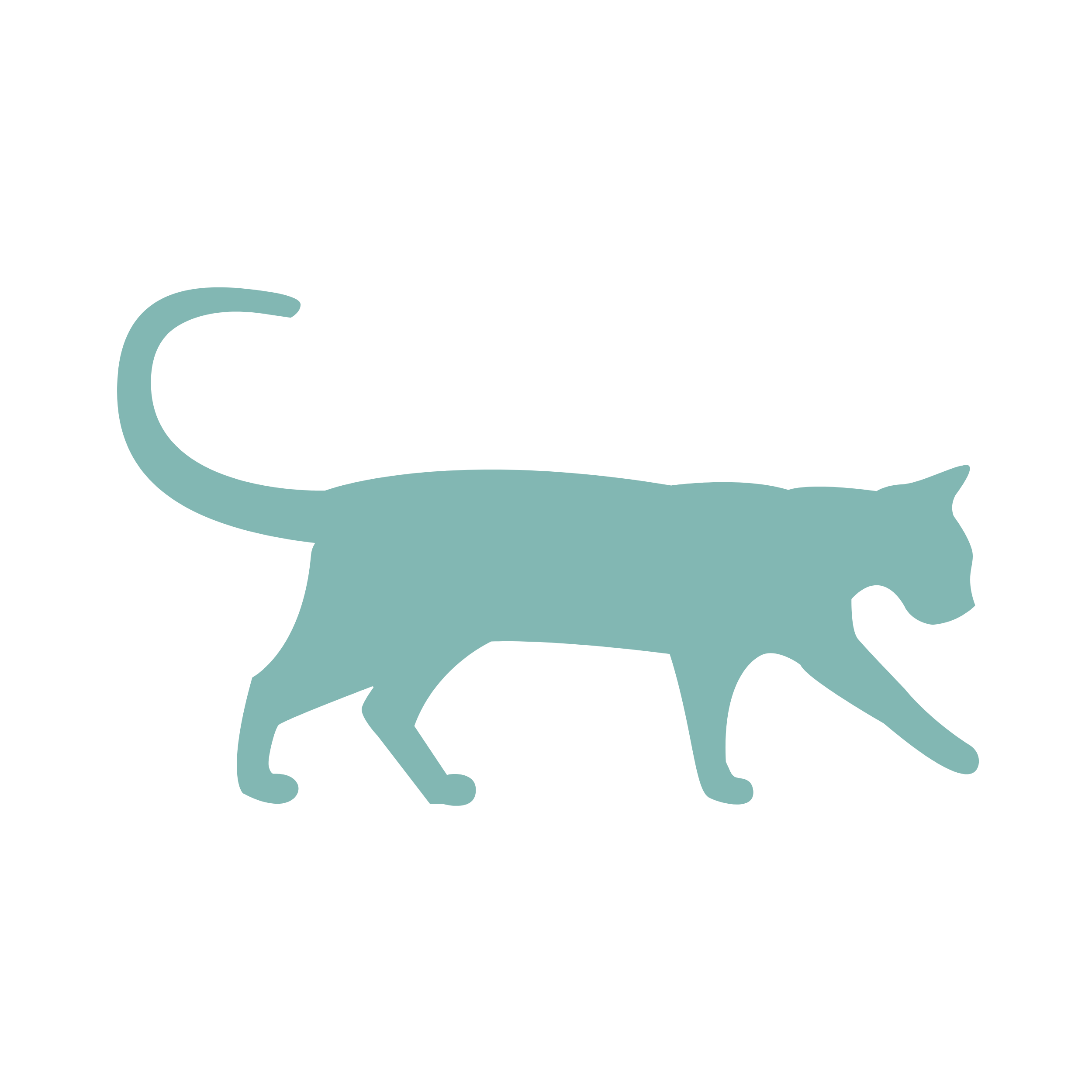 Feral Cats