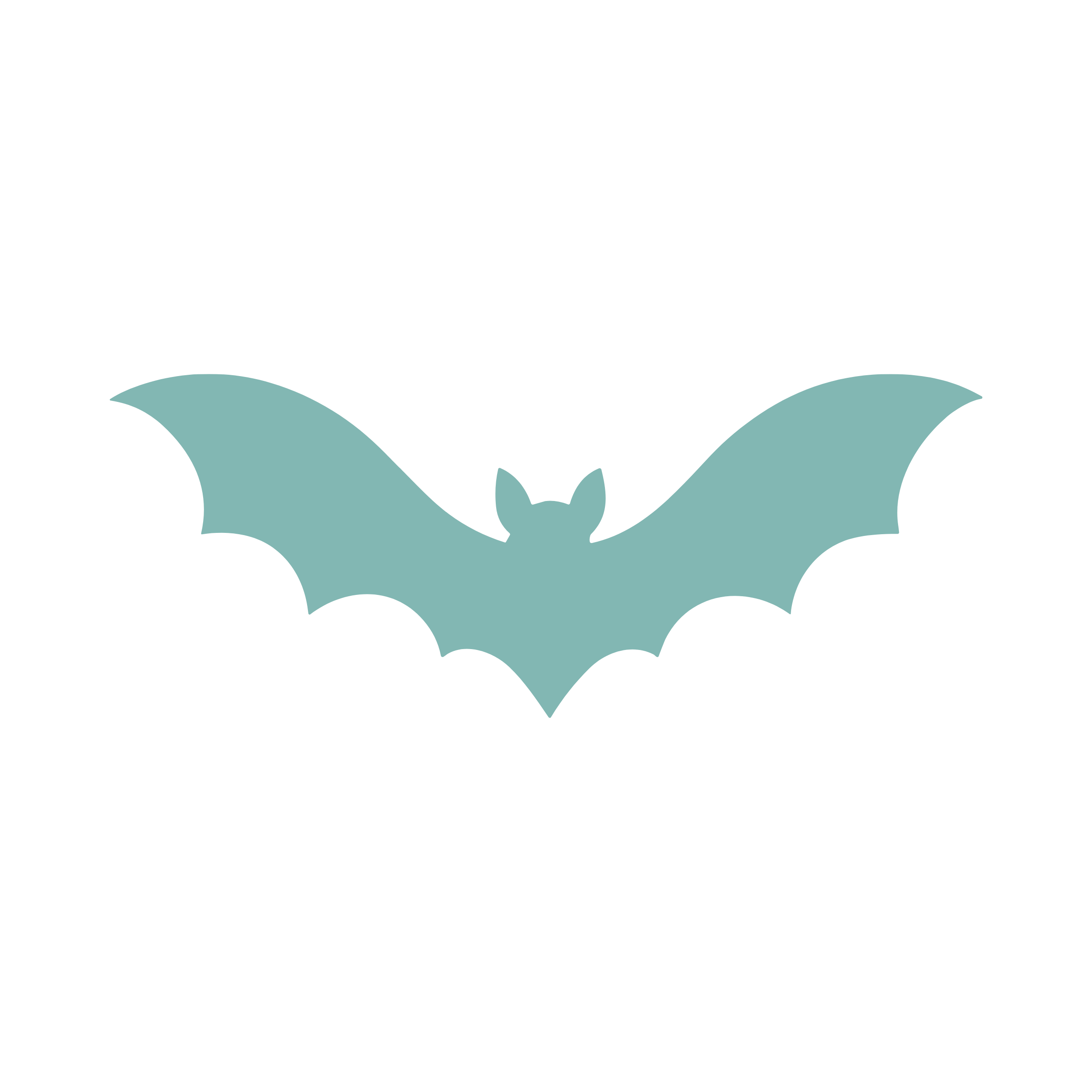 Bats & Flying Foxes