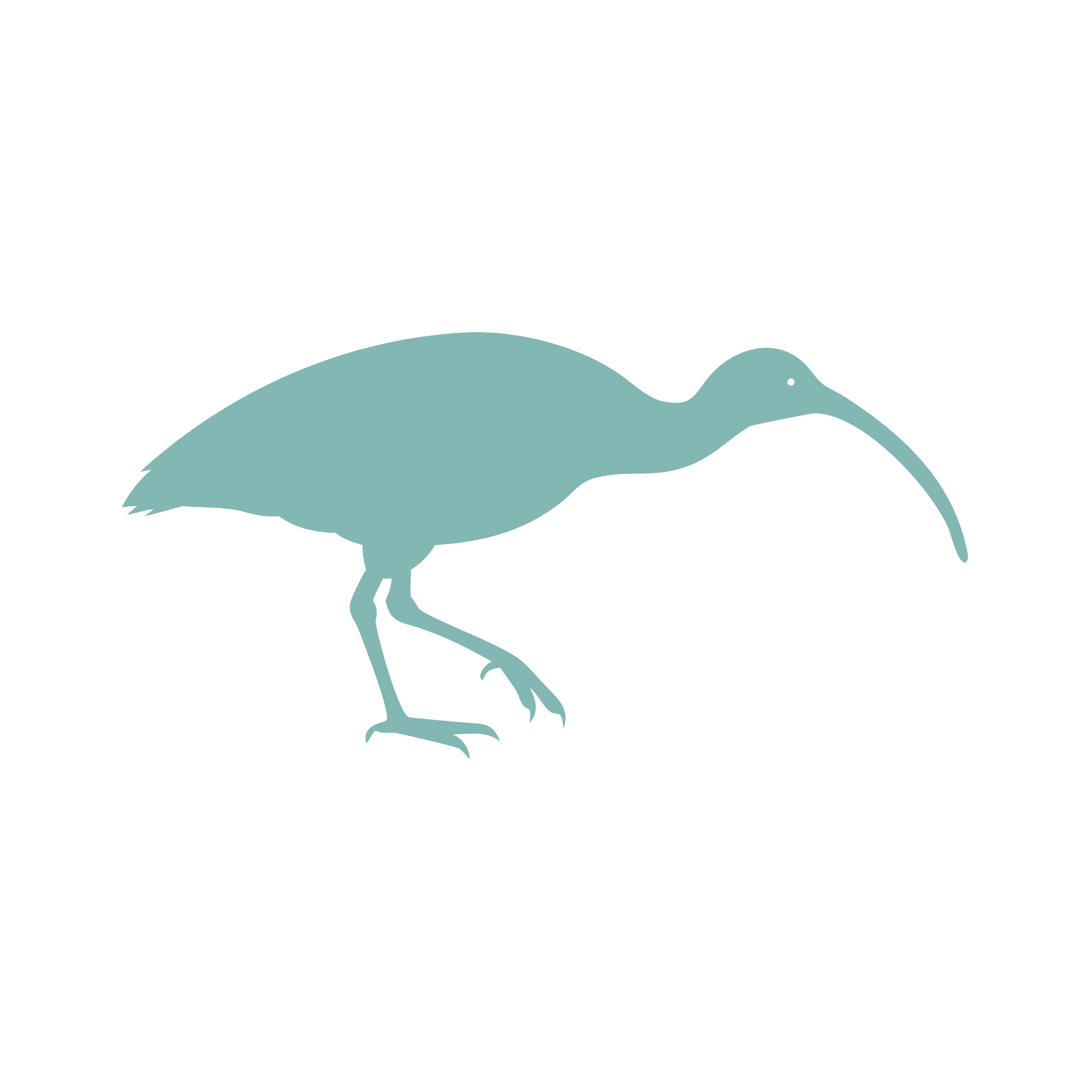 Ibis