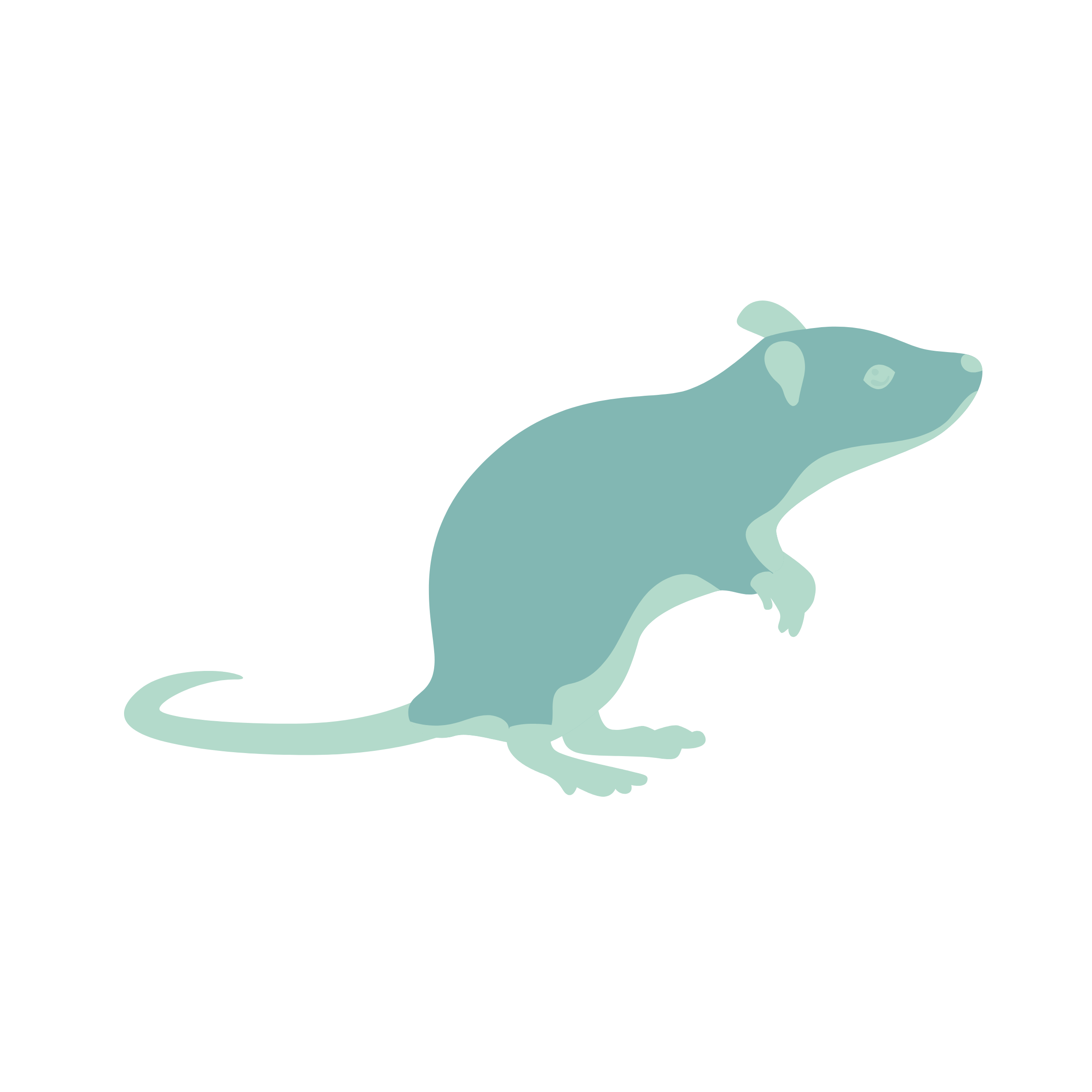 Mice