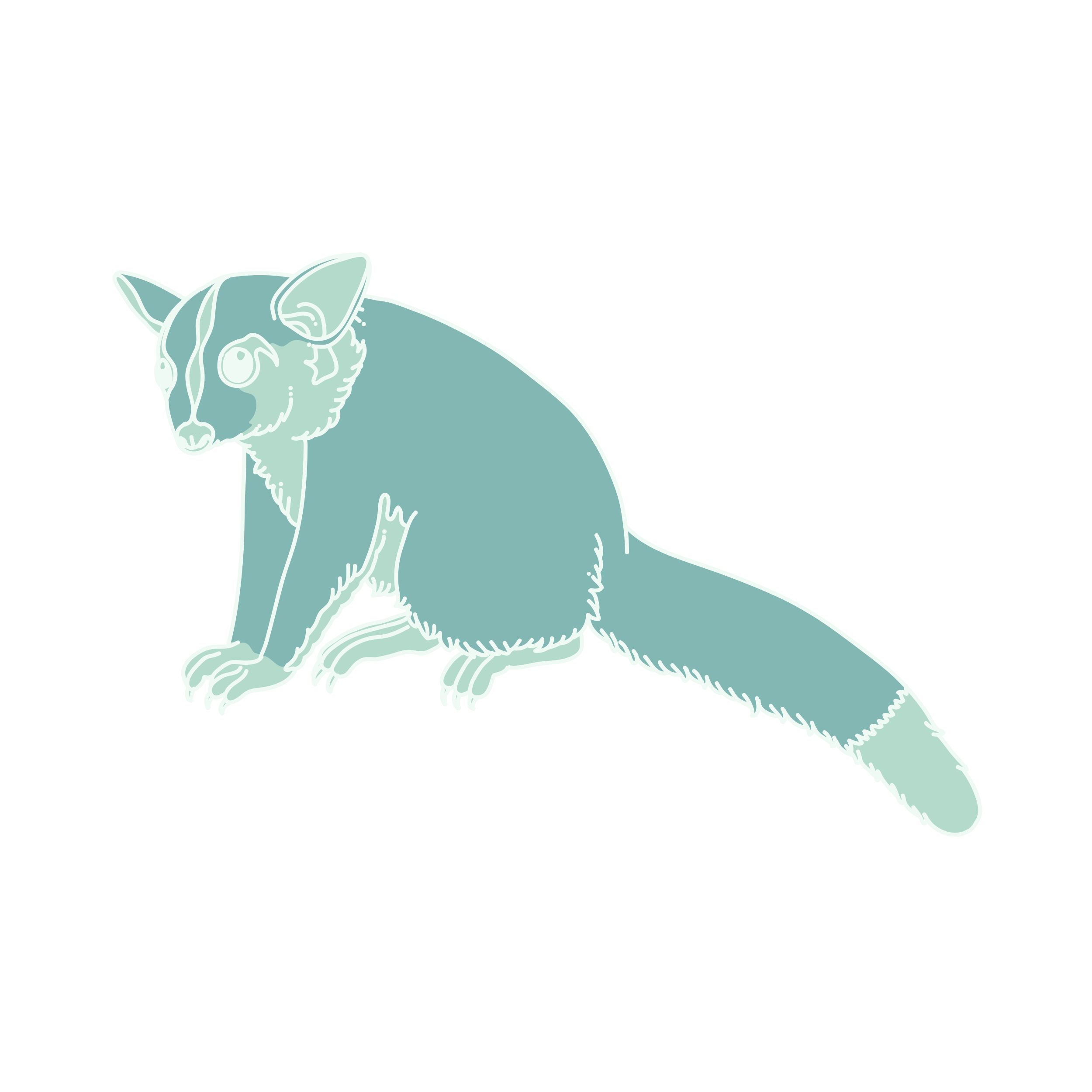 Possums
