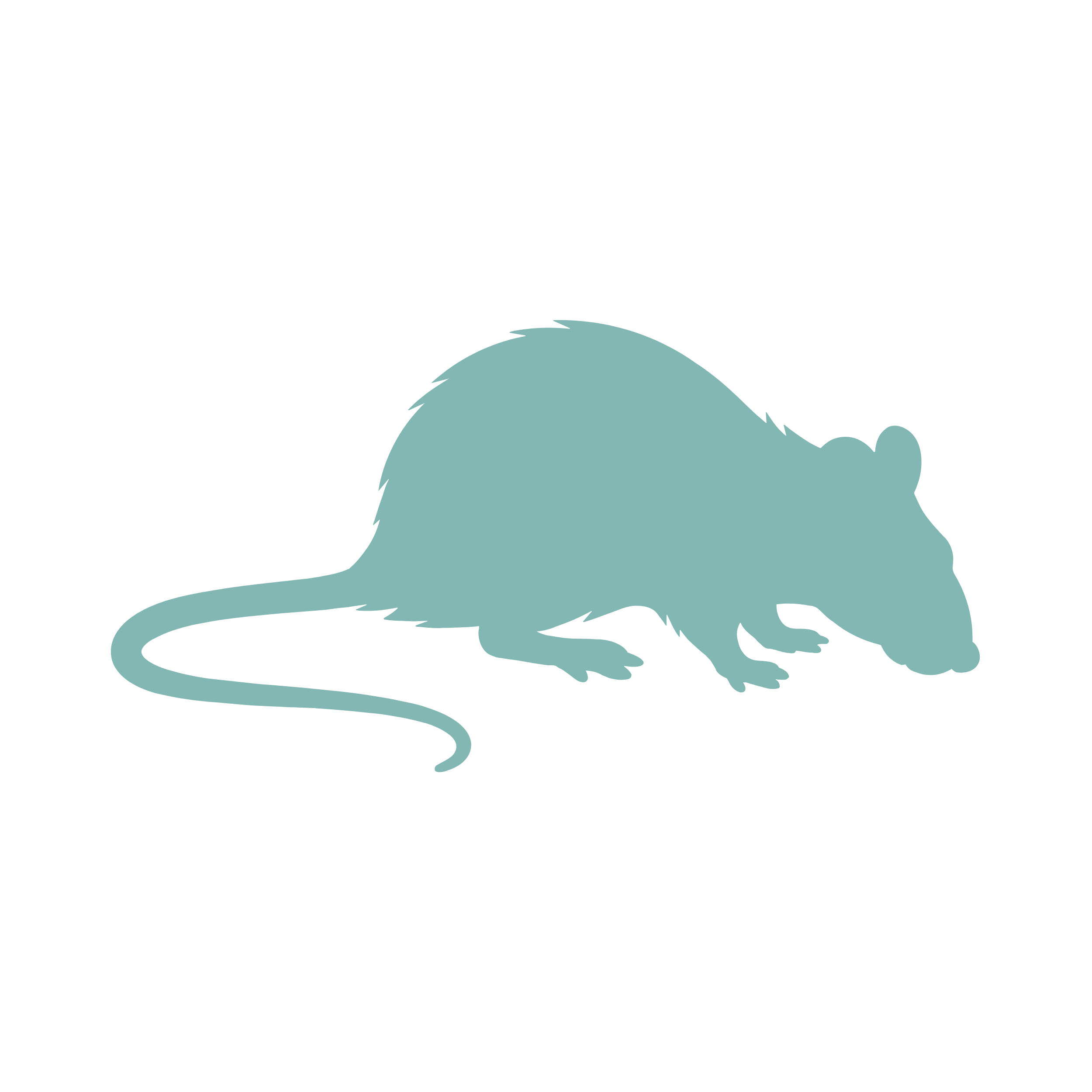 Rats