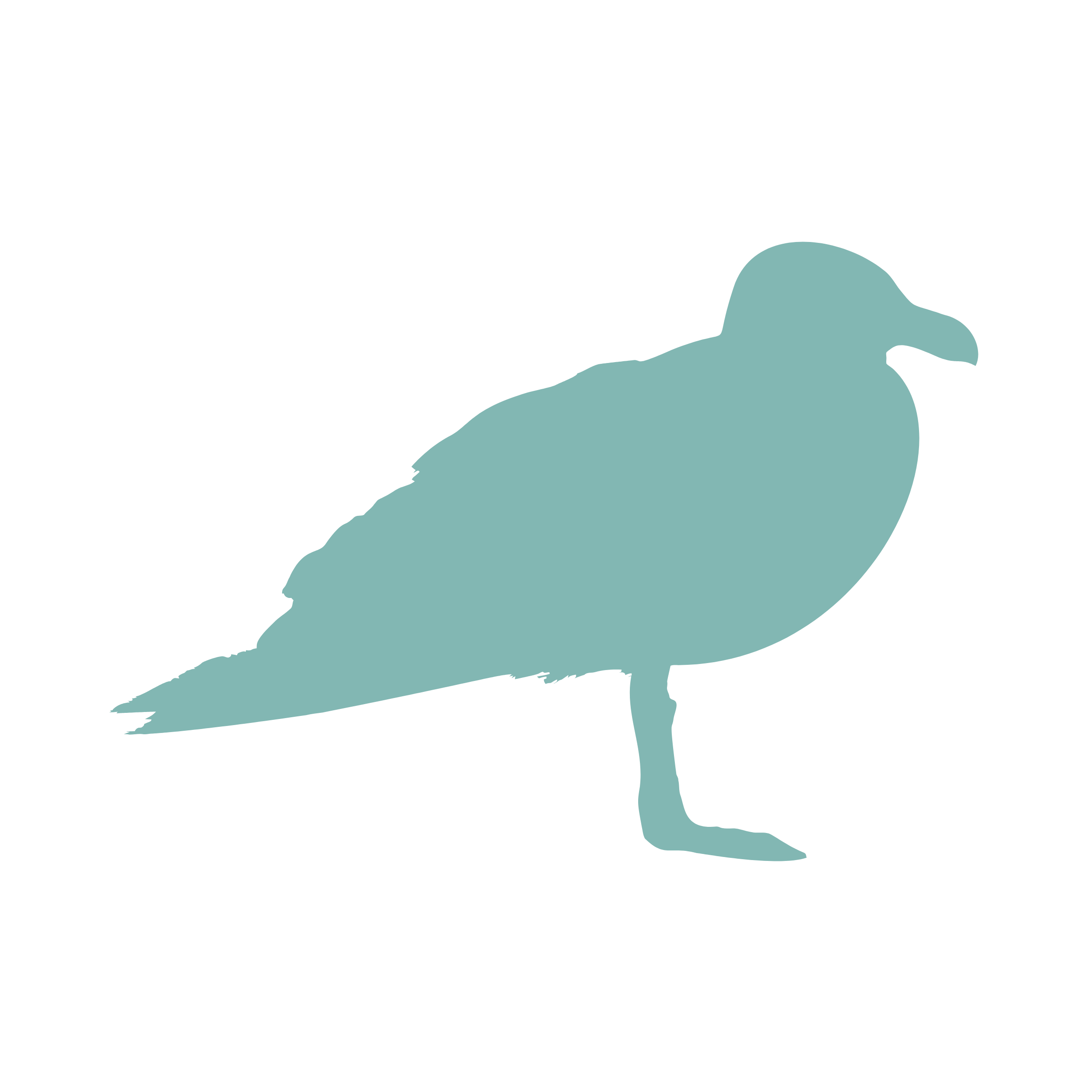 Seagulls