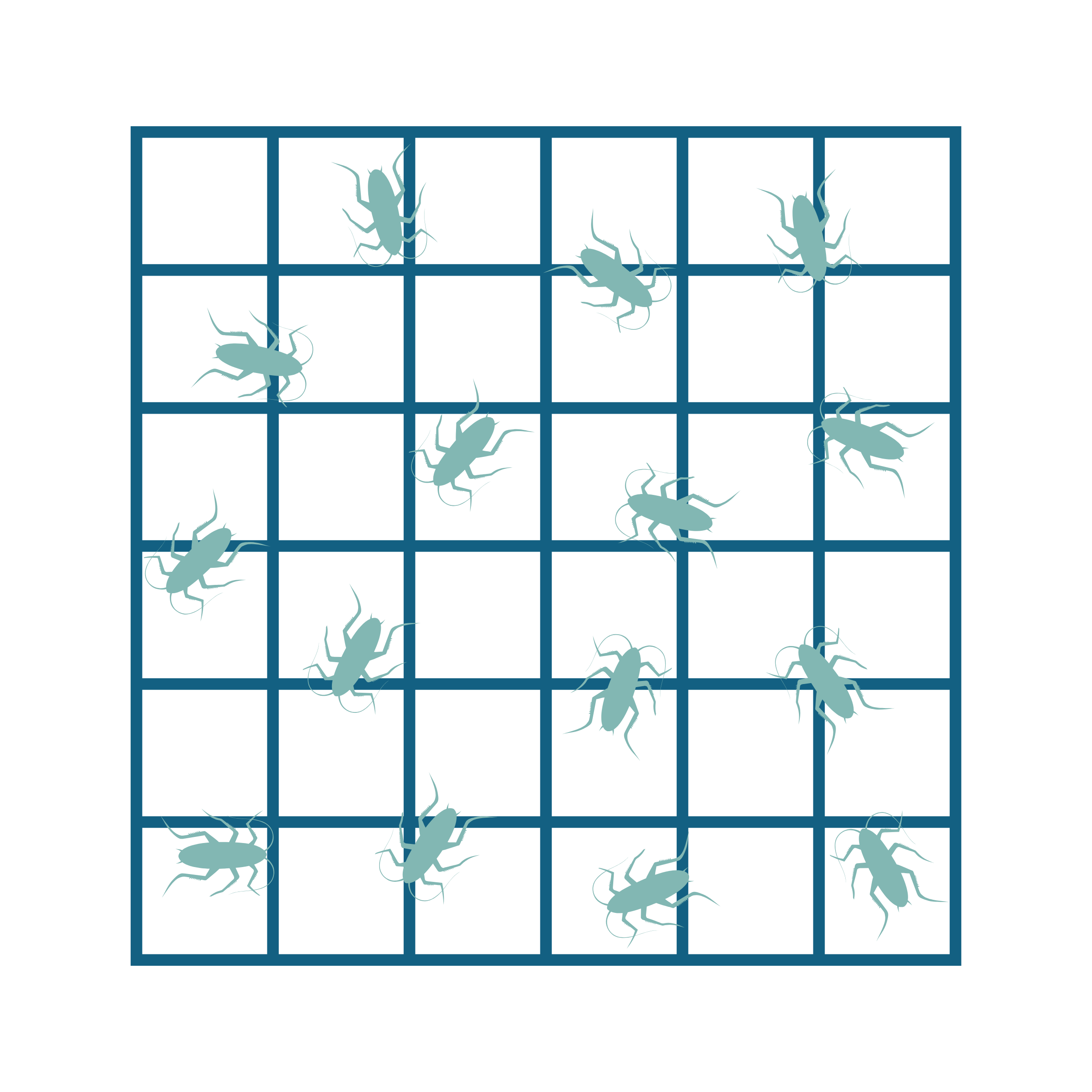 Beetle Monitoring