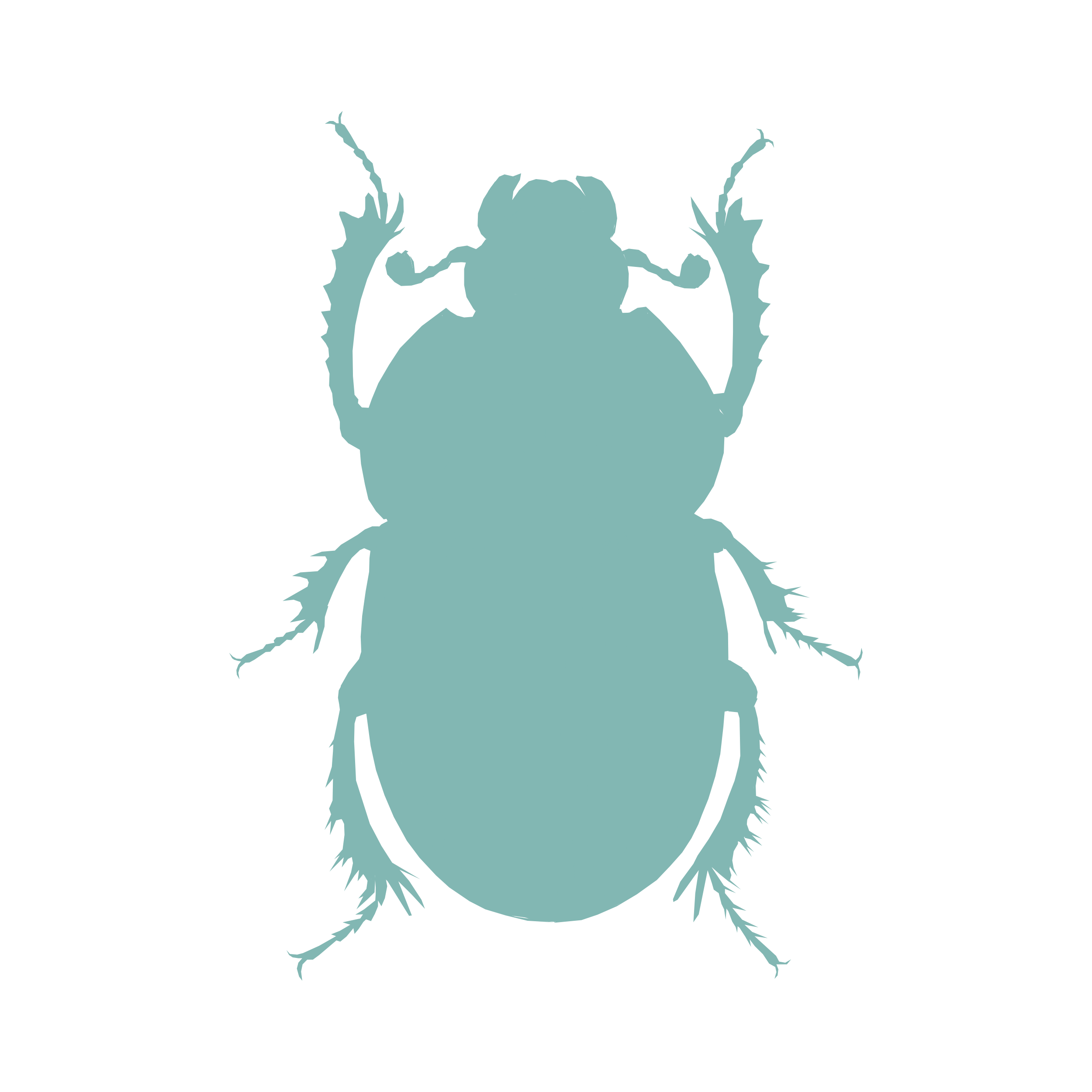 Grain & Stored Product Beetles