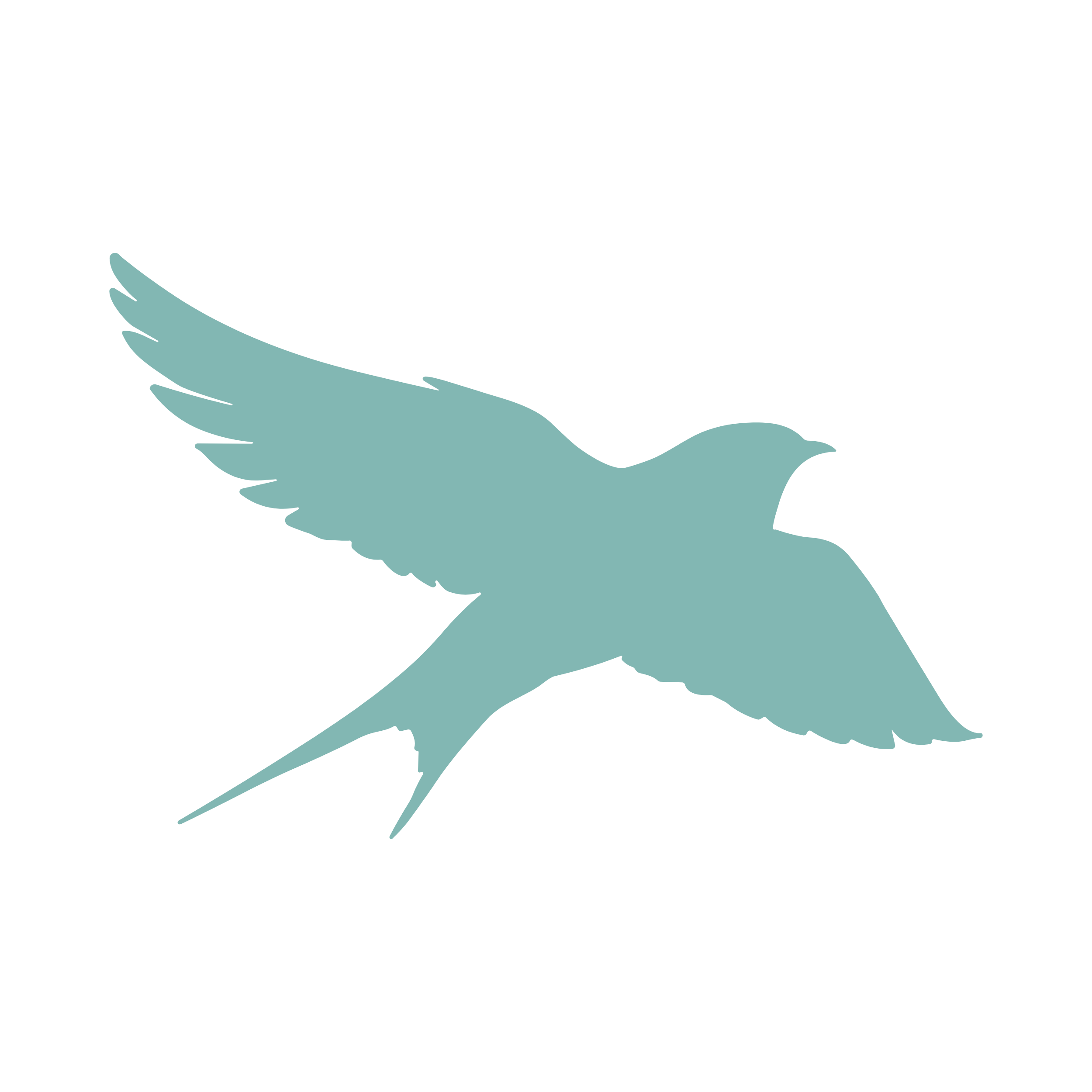 Swallows