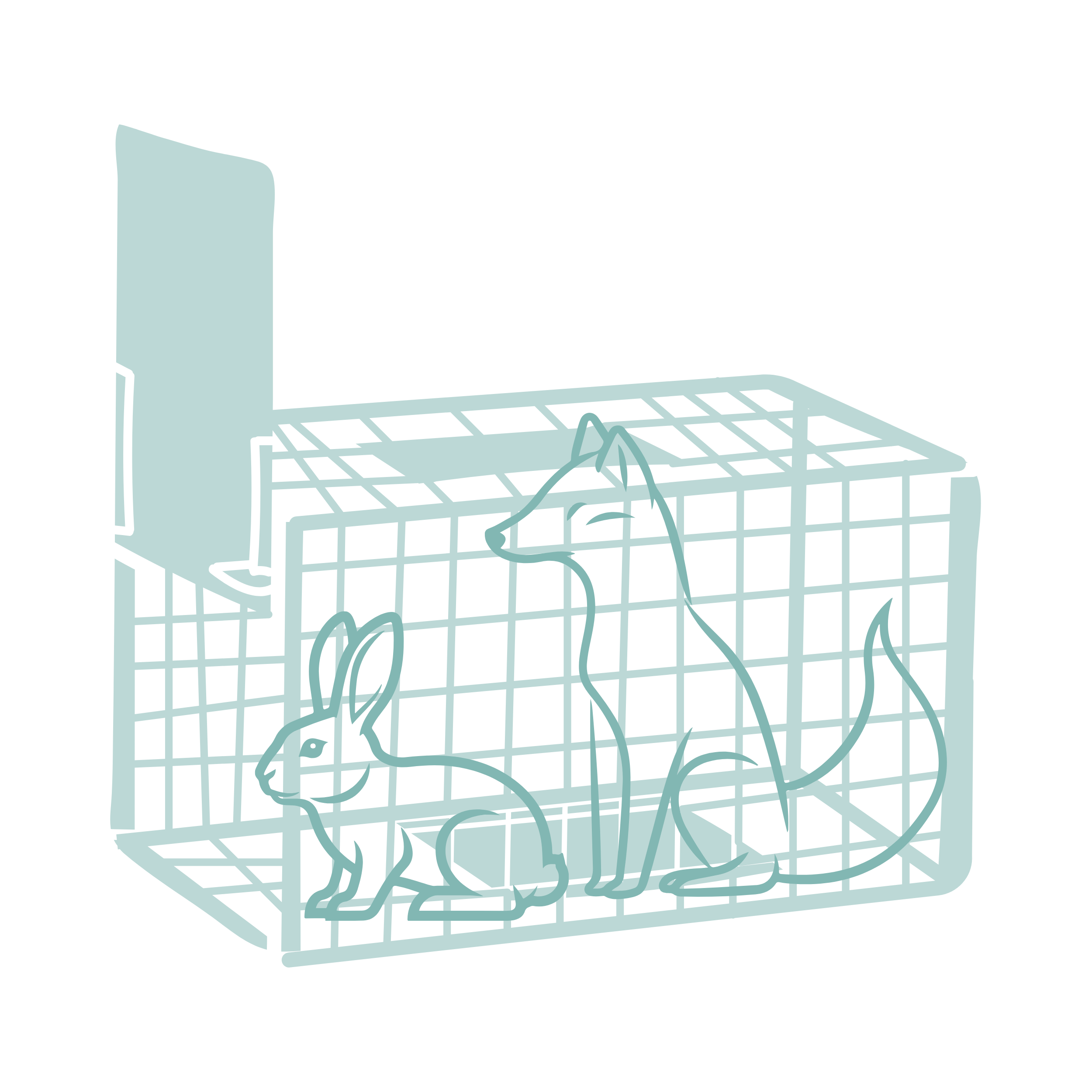 Live Capture Systems