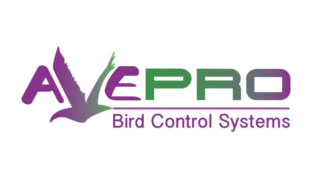Pest IT Pty Ltd