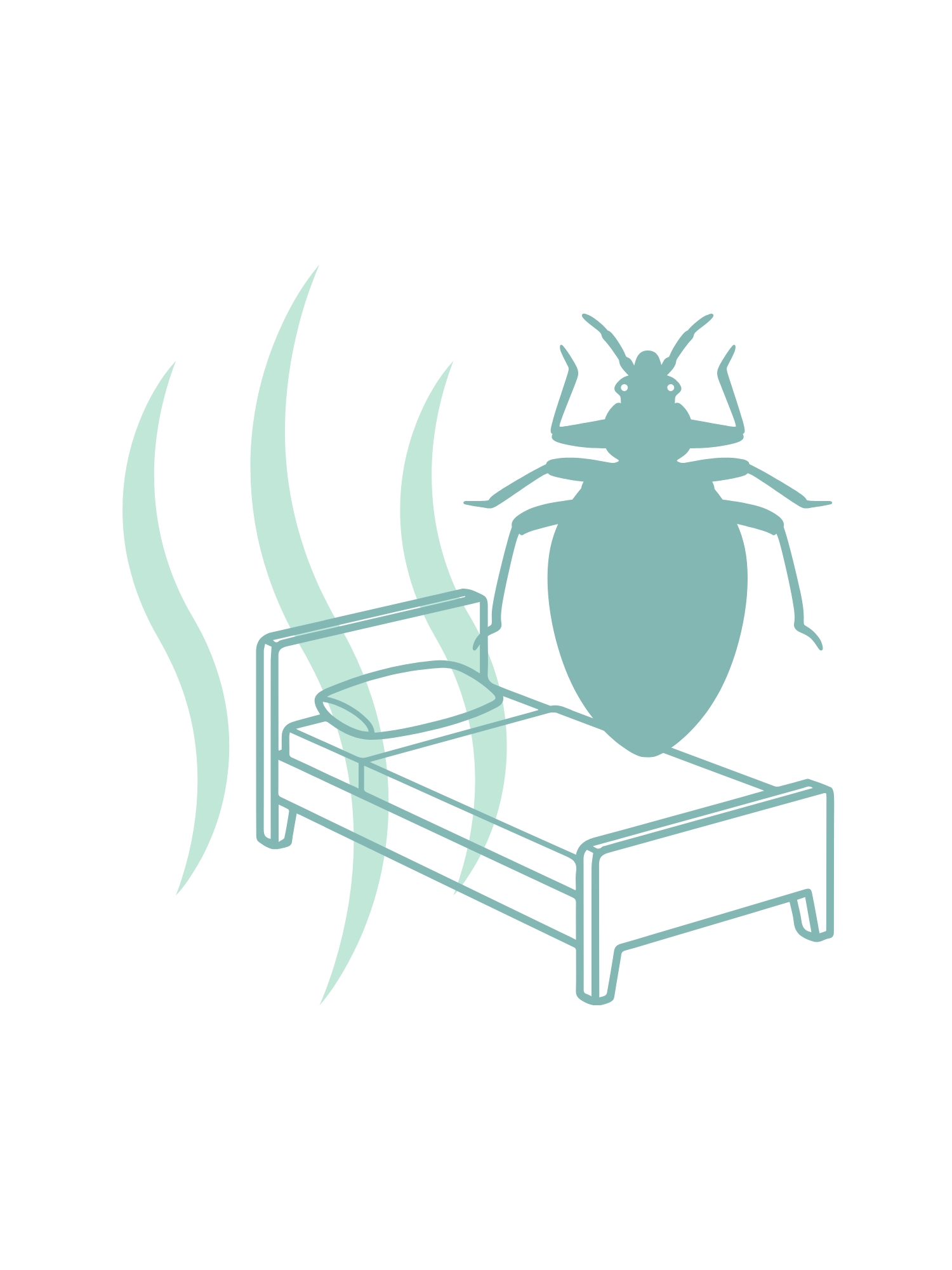 Pest IT Pty Ltd