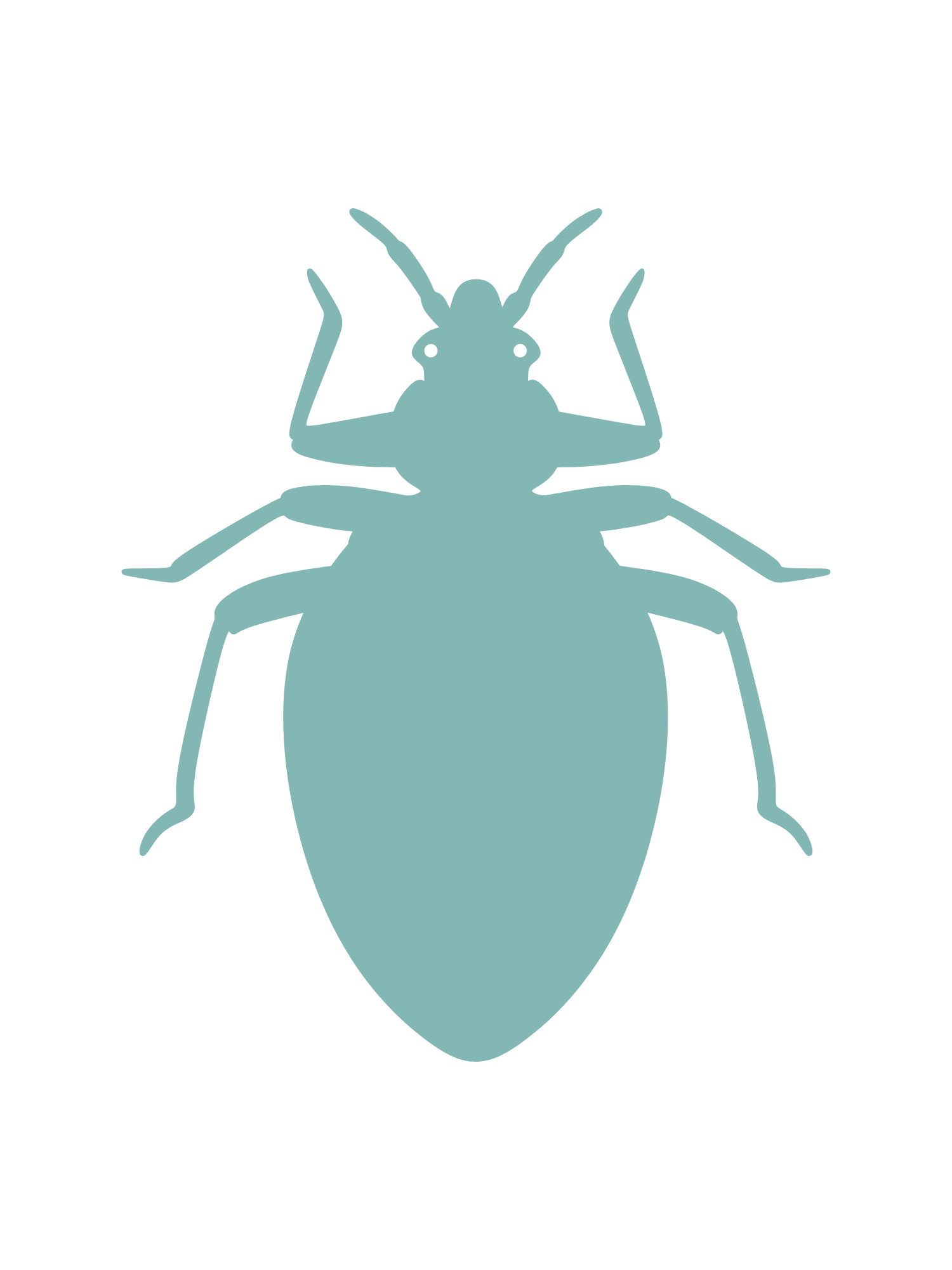 Pest IT Pty Ltd