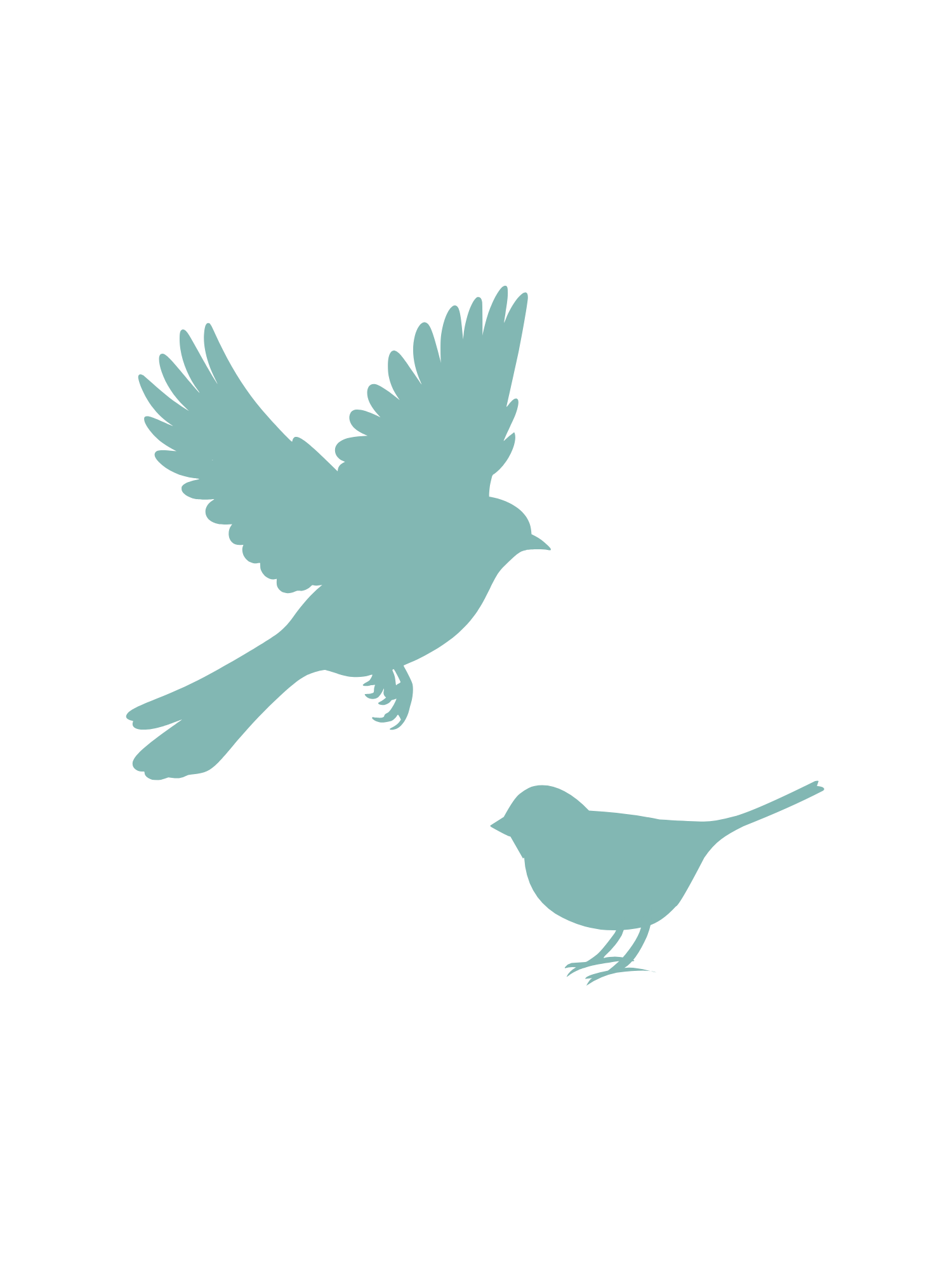 Pest IT Pty Ltd
