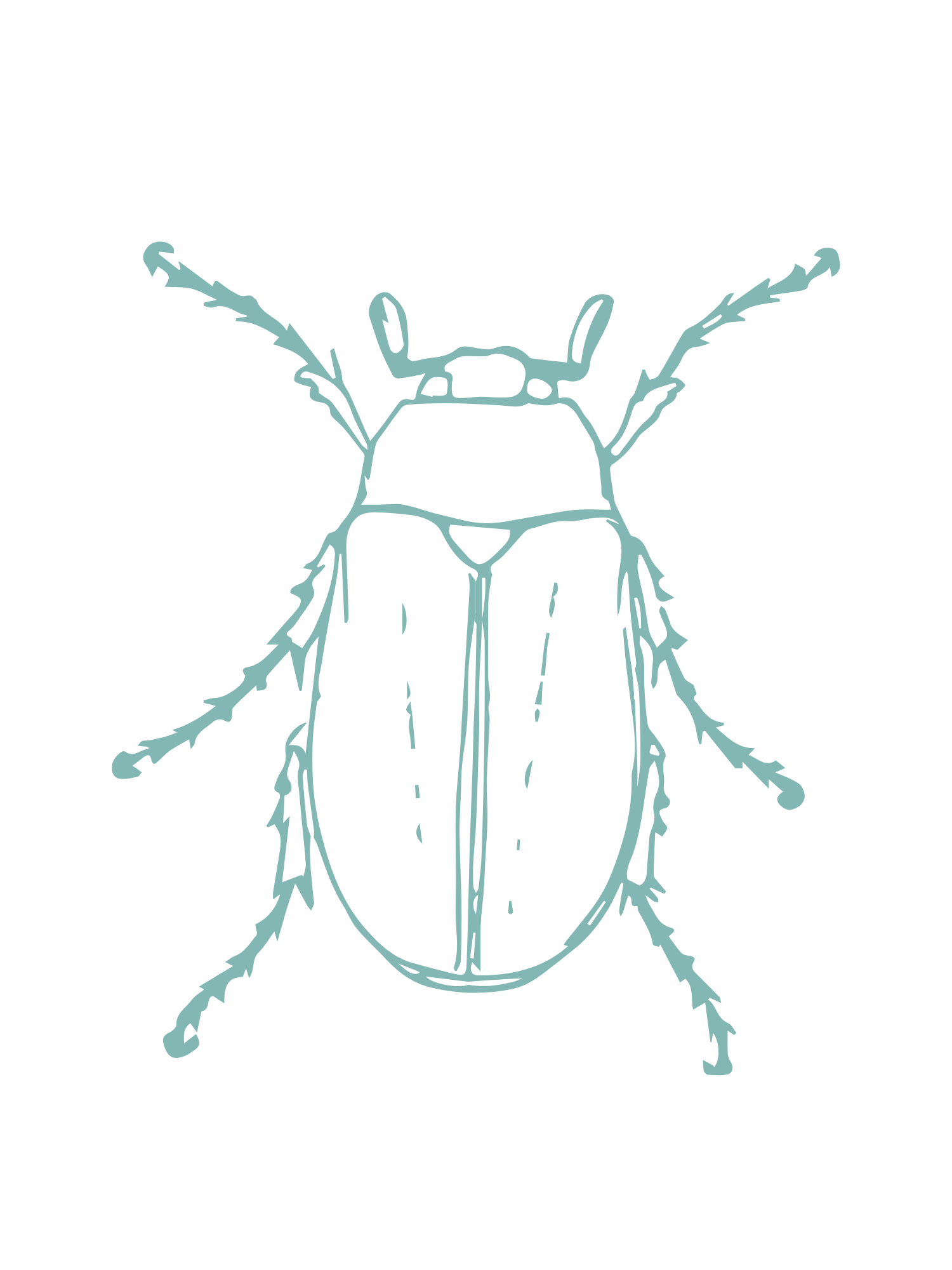 Pest IT Pty Ltd
