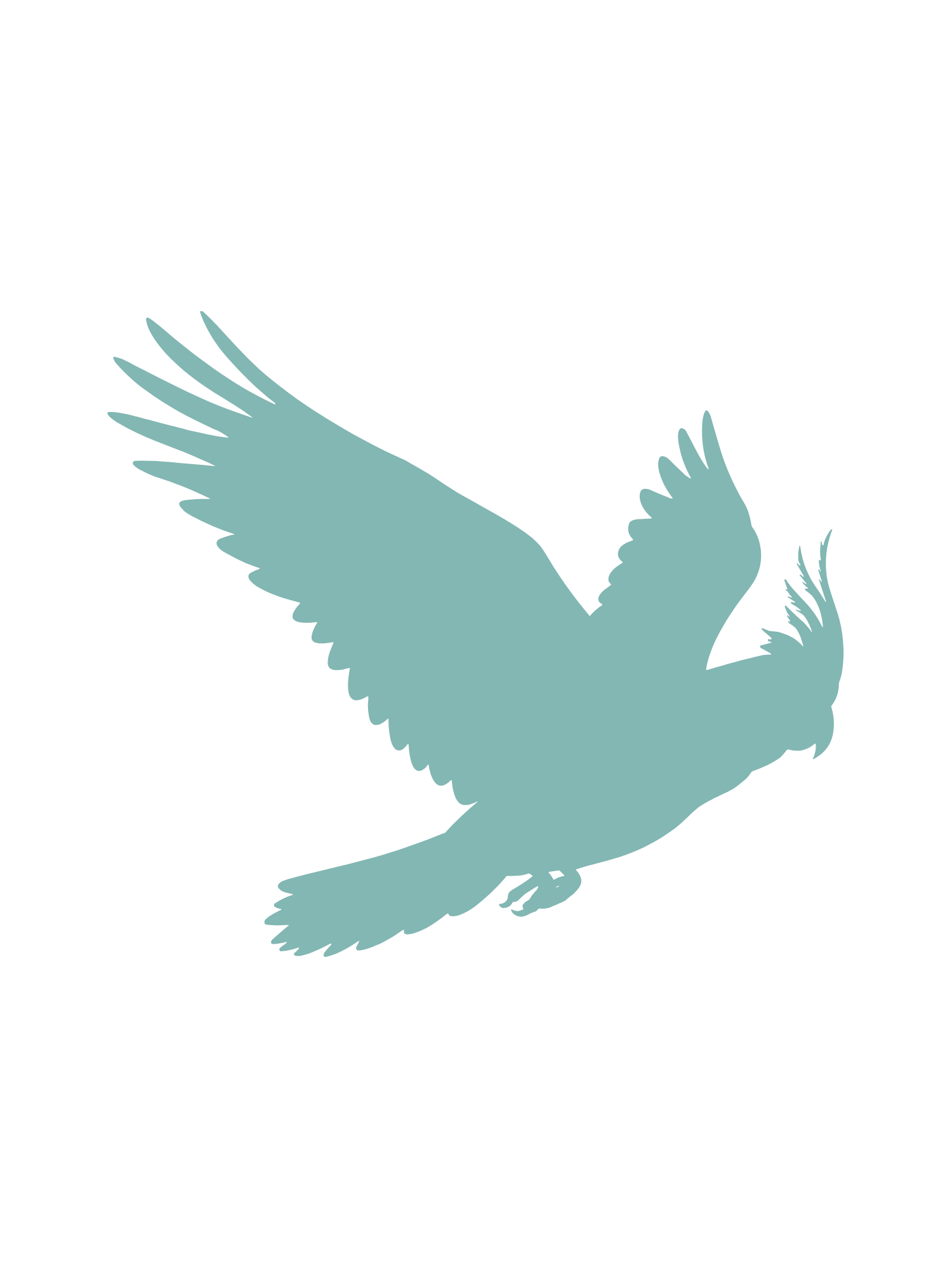 Pest IT Pty Ltd
