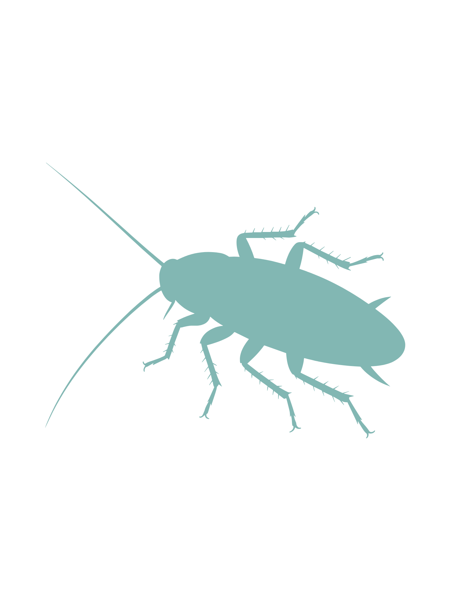Pest IT Pty Ltd