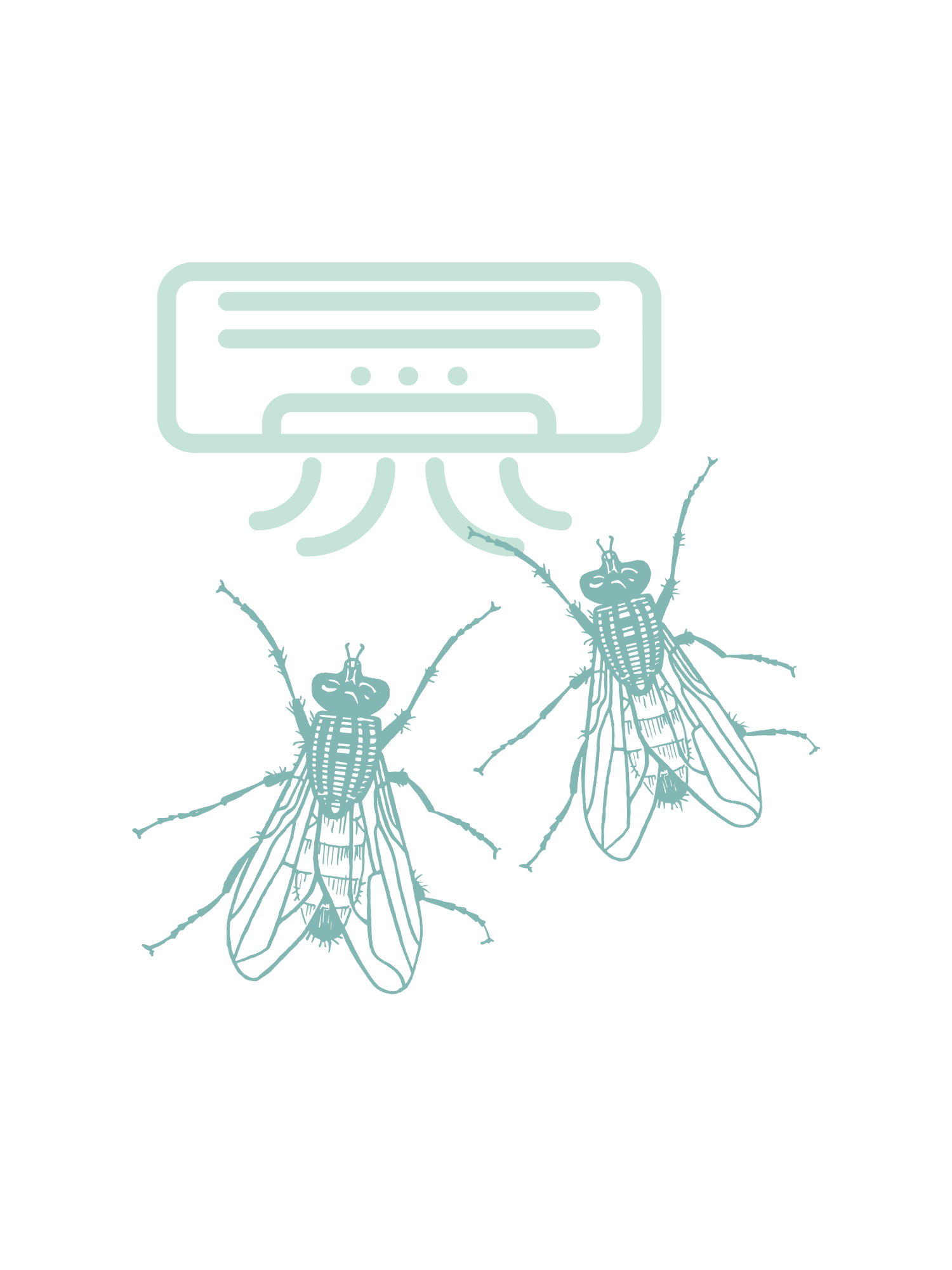 Pest IT Pty Ltd