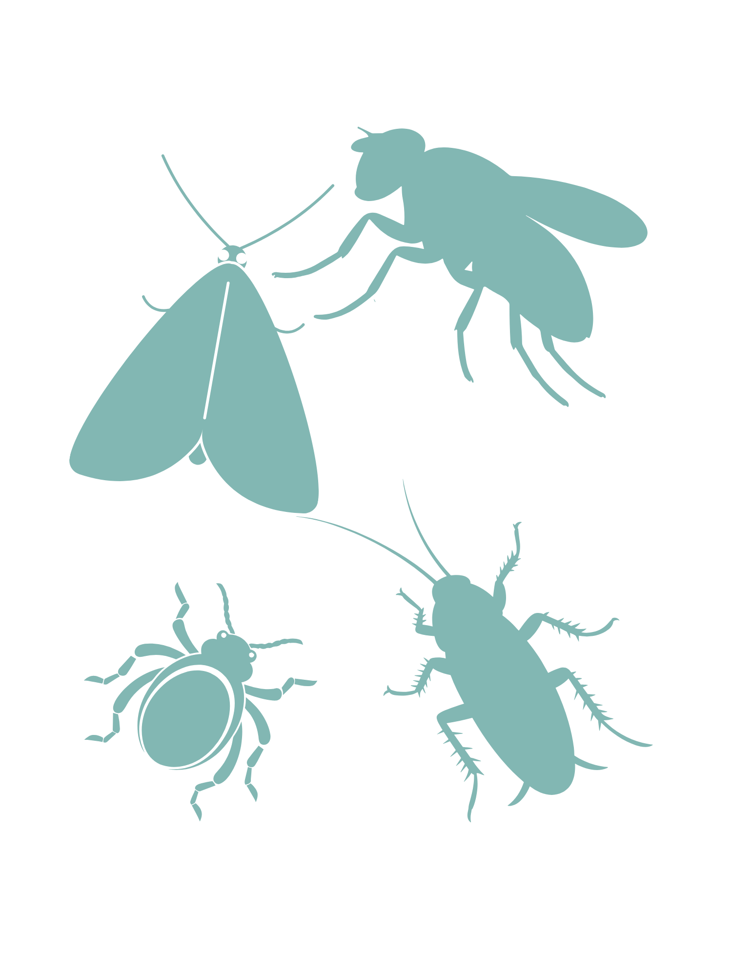 Pest IT Pty Ltd