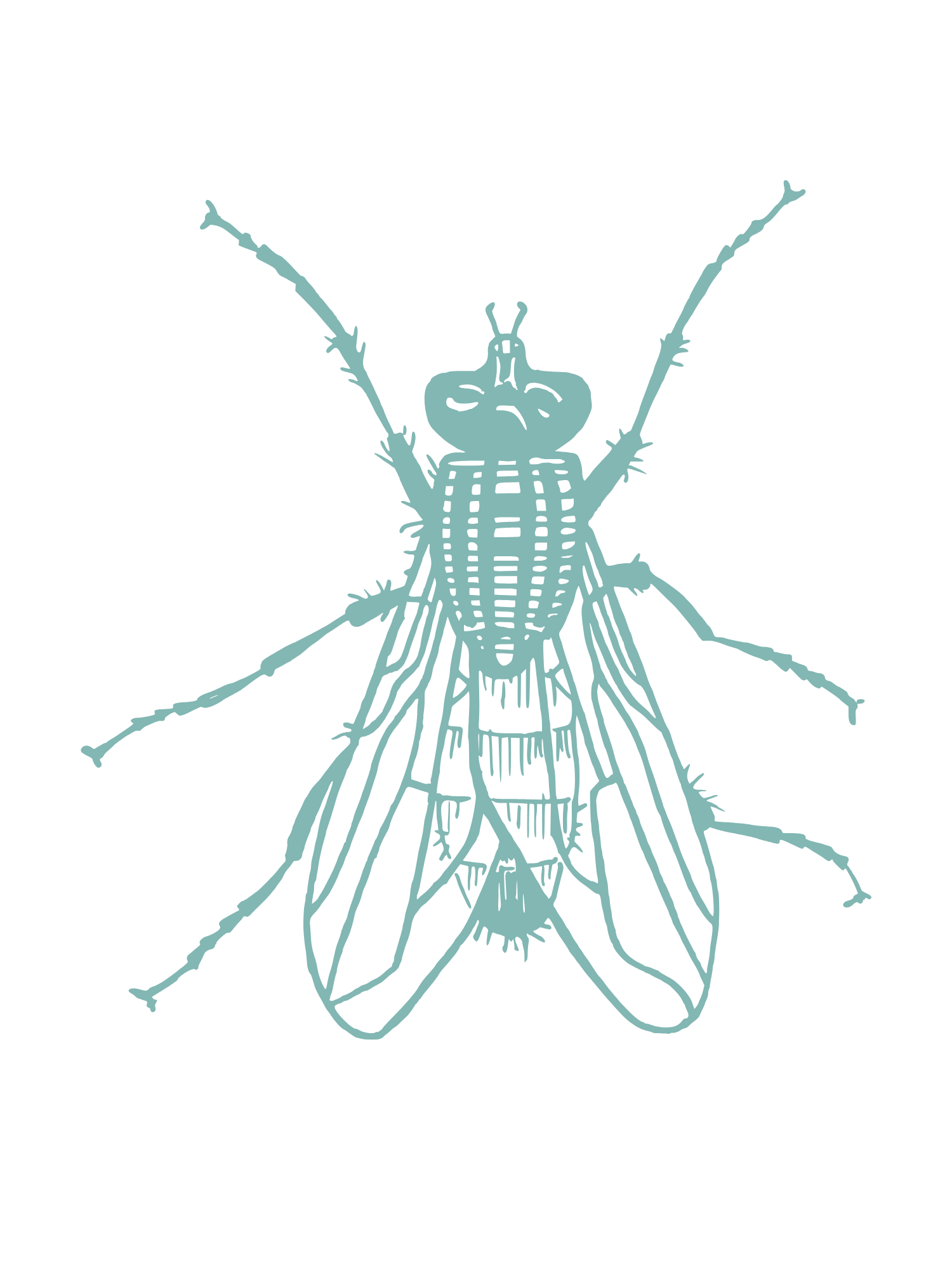 Pest IT Pty Ltd