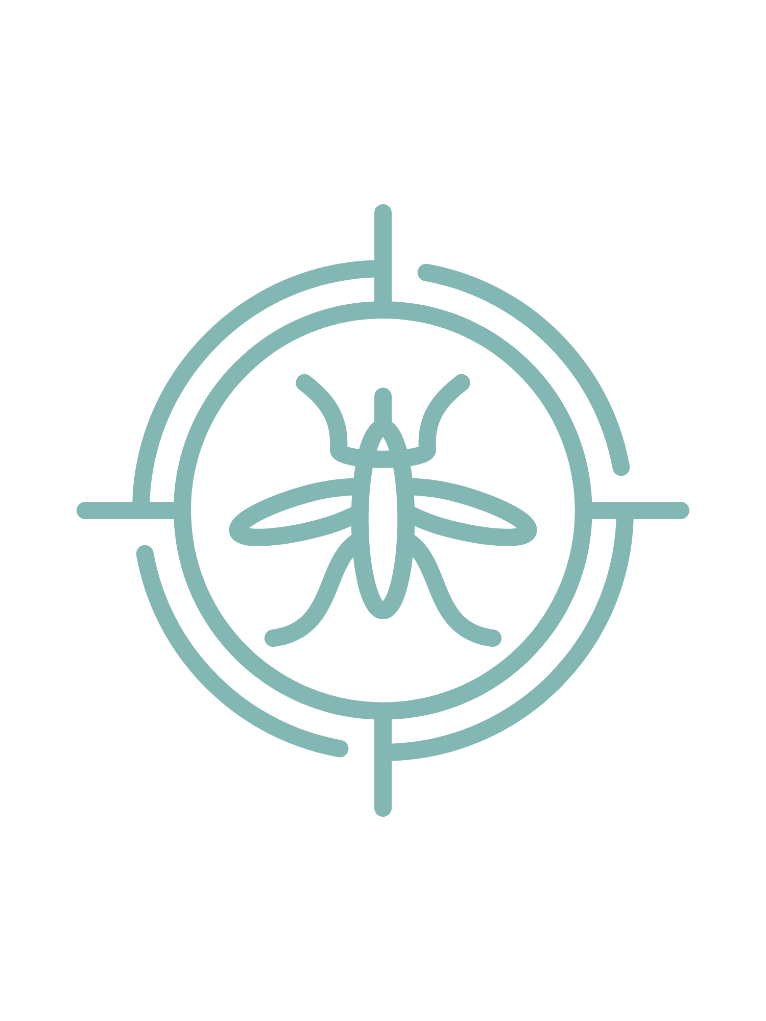 Pest IT Pty Ltd