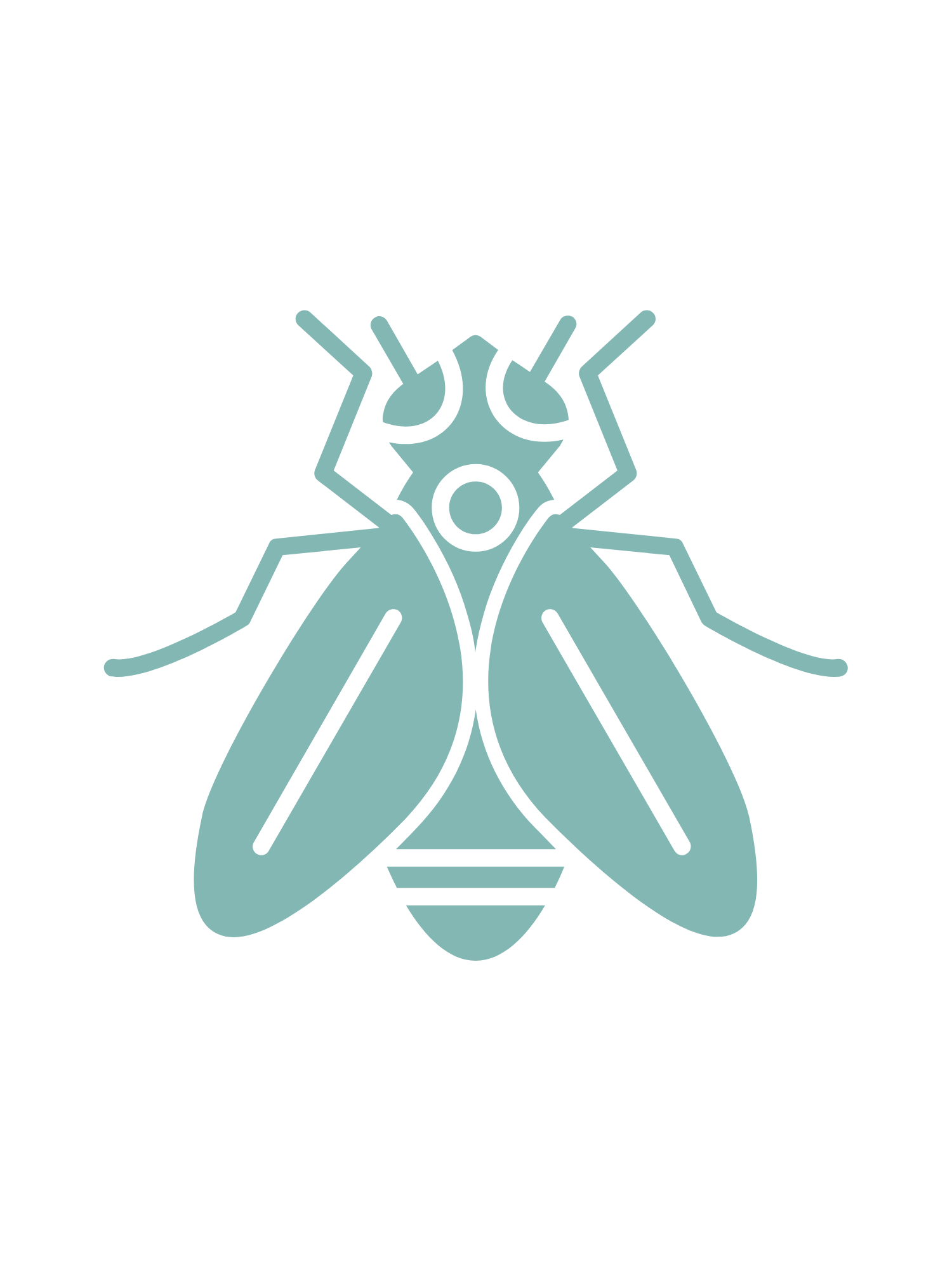 Pest IT Pty Ltd