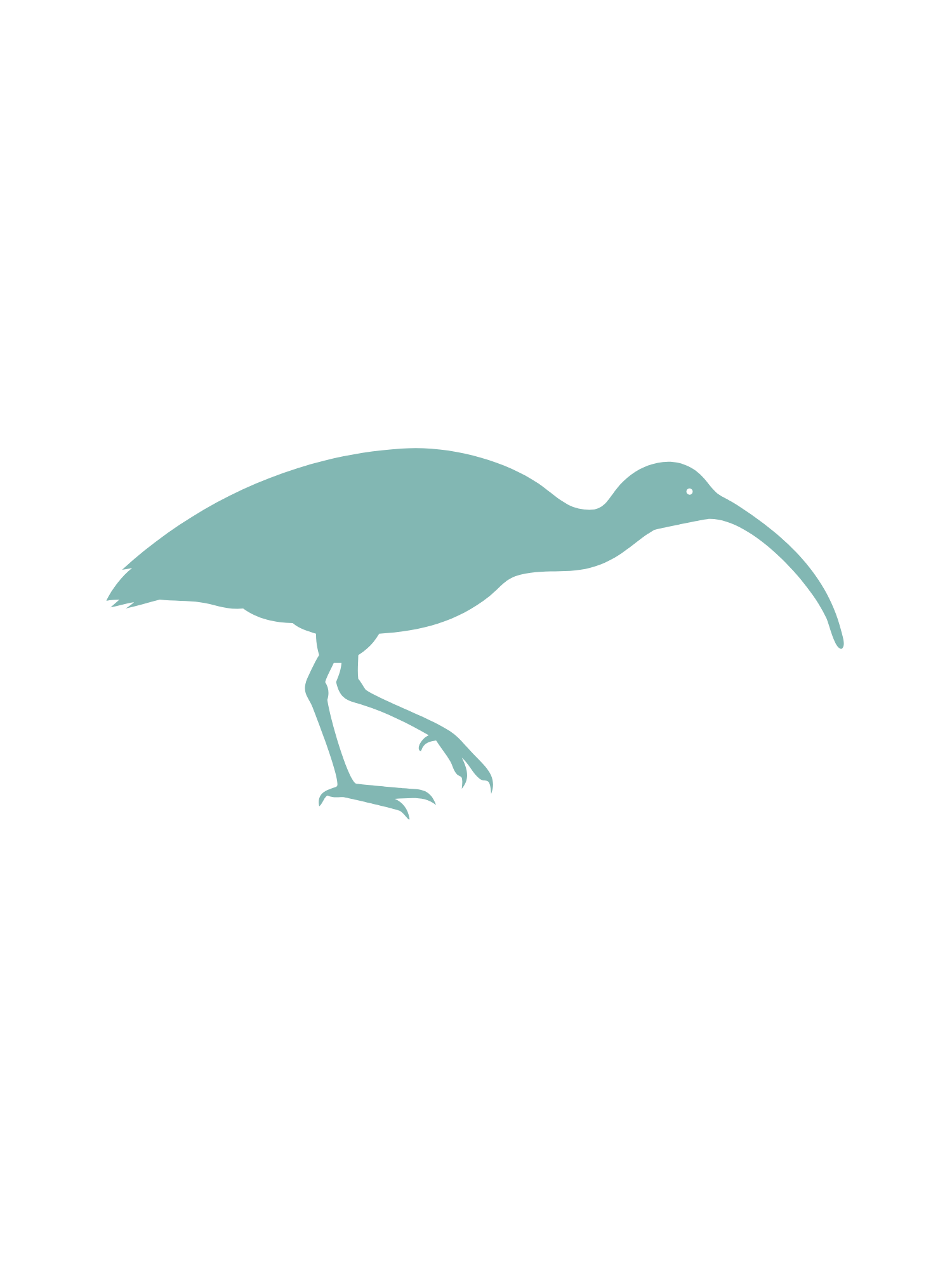 Pest IT Pty Ltd