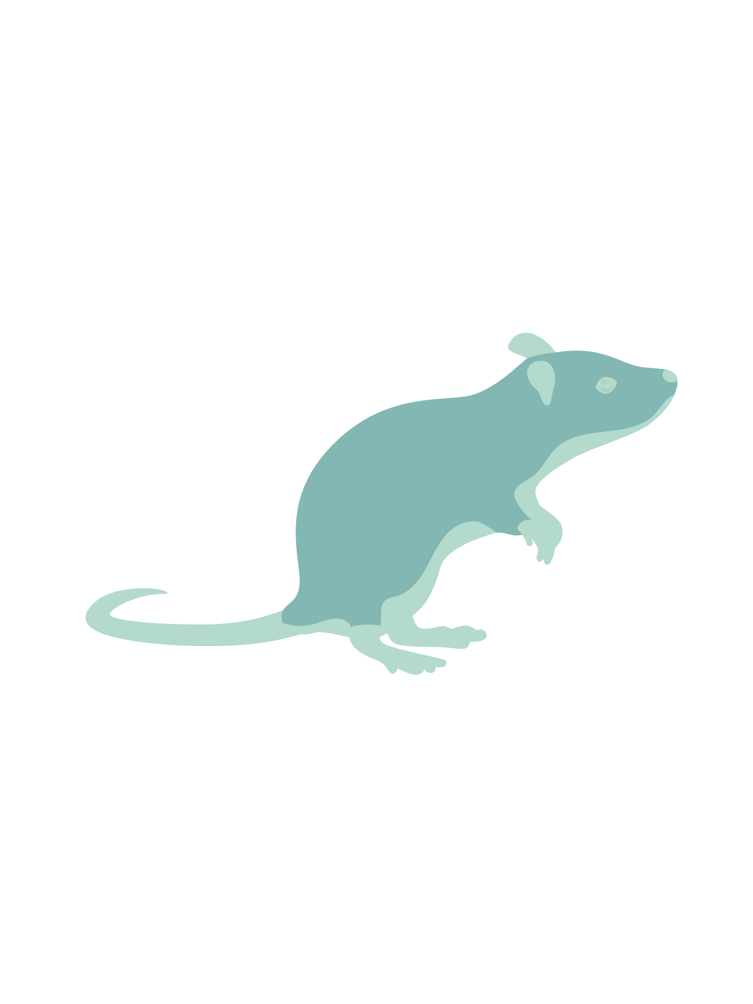 Pest IT Pty Ltd