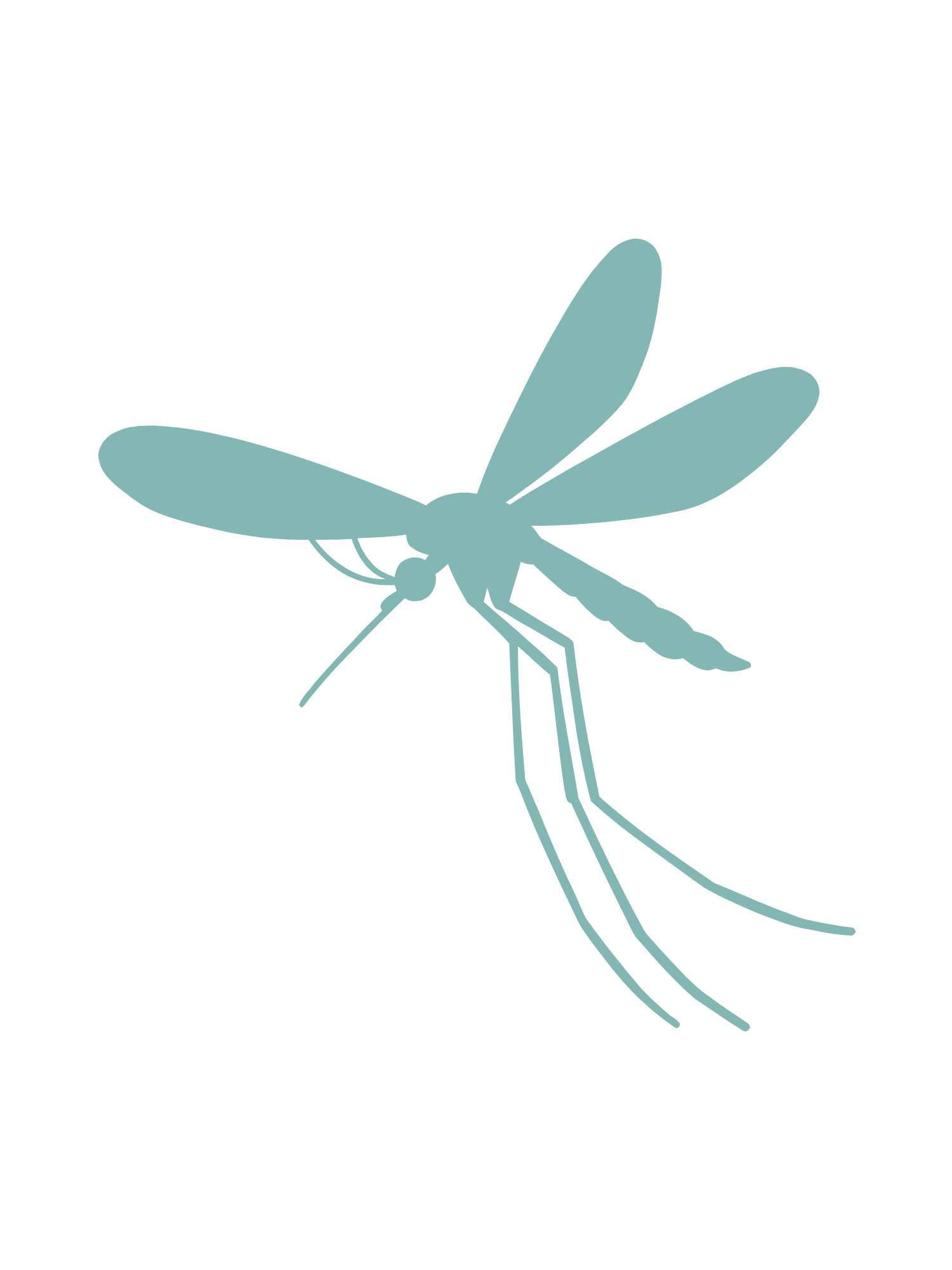 Pest IT Pty Ltd