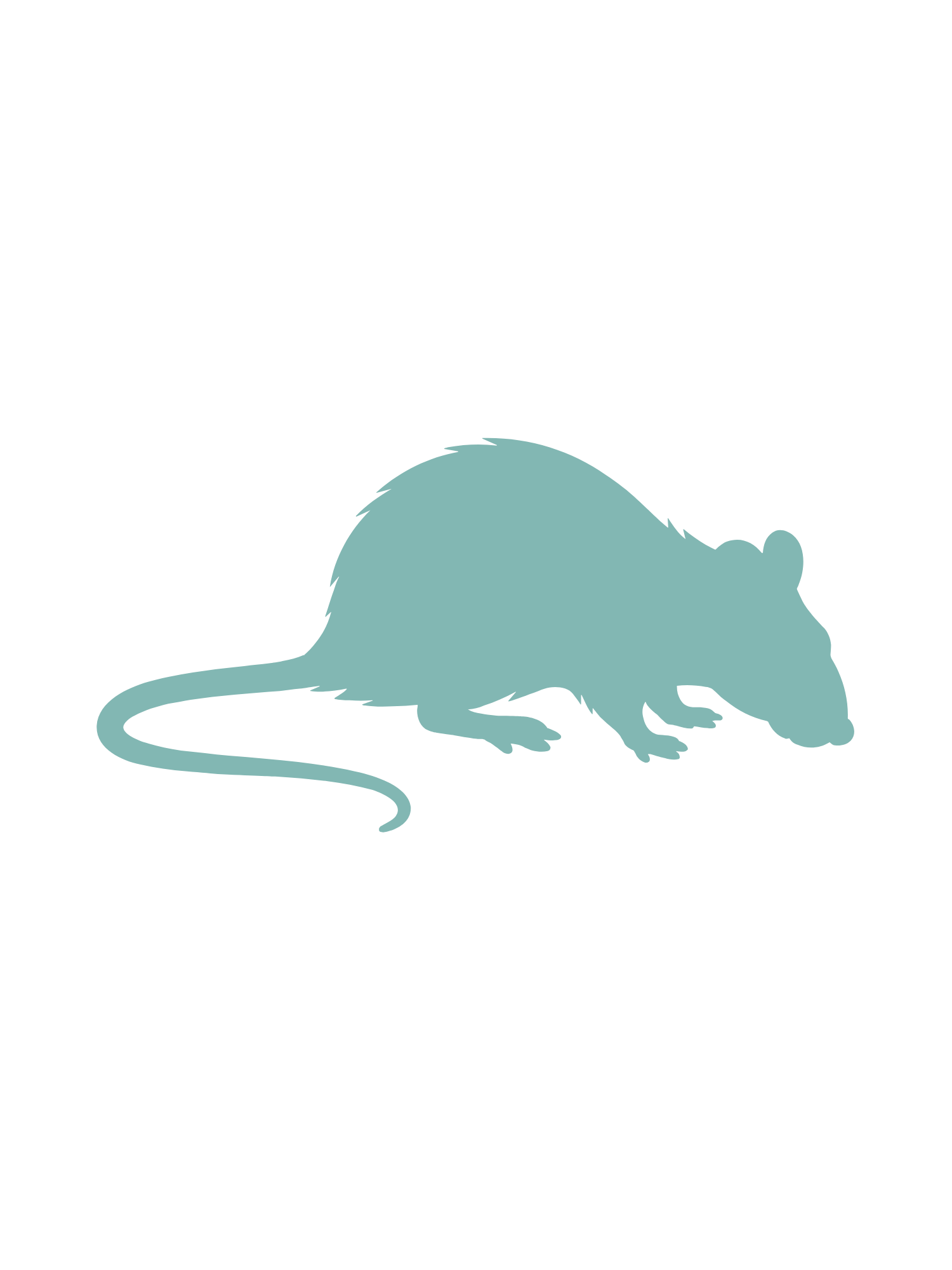 Pest IT Pty Ltd