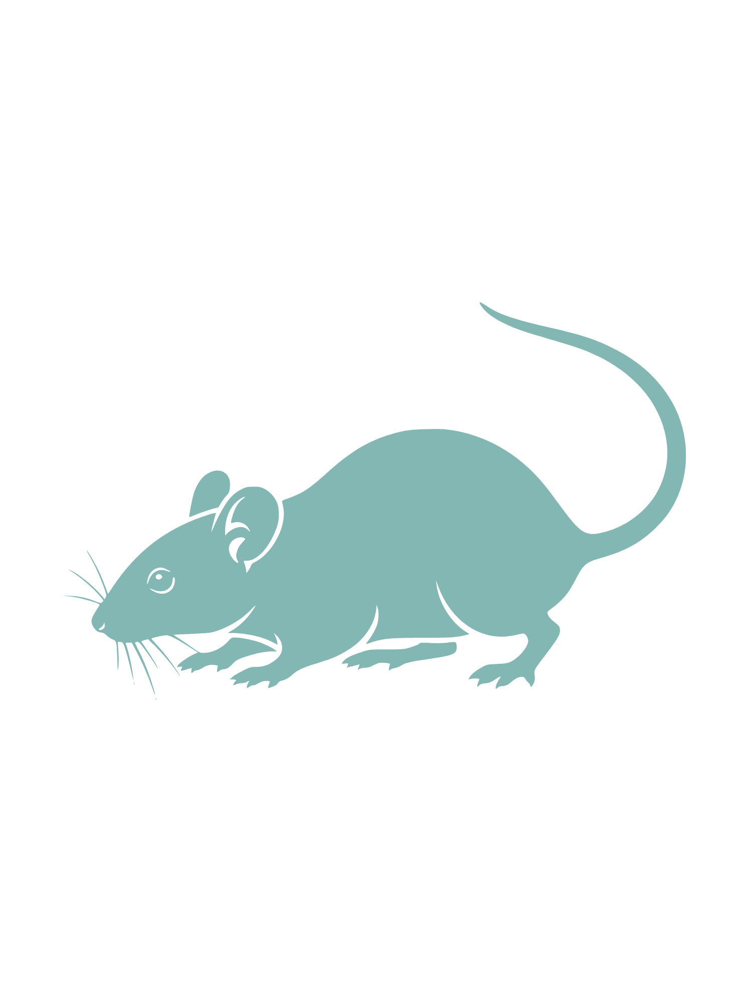 Pest IT Pty Ltd