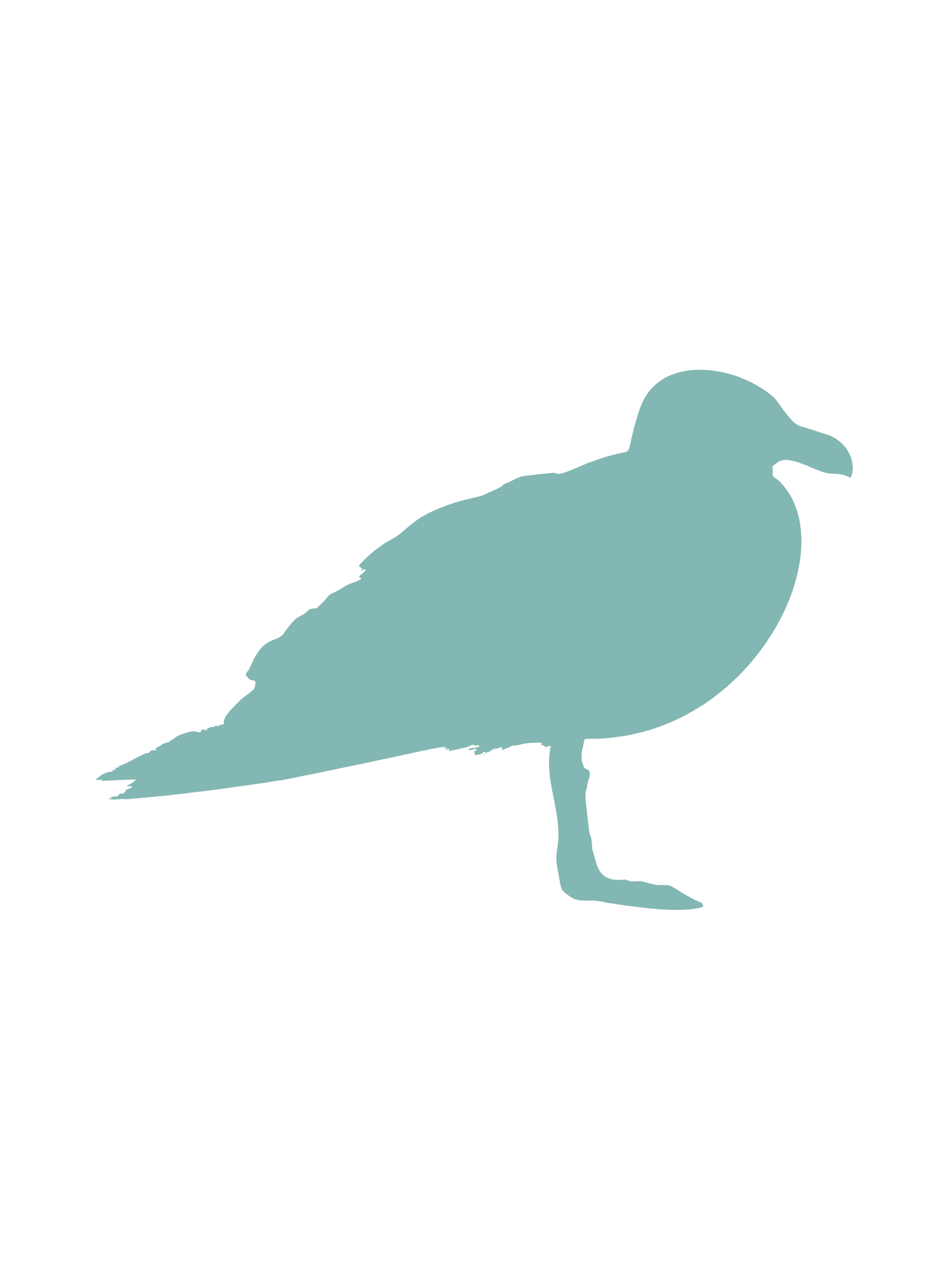 Pest IT Pty Ltd