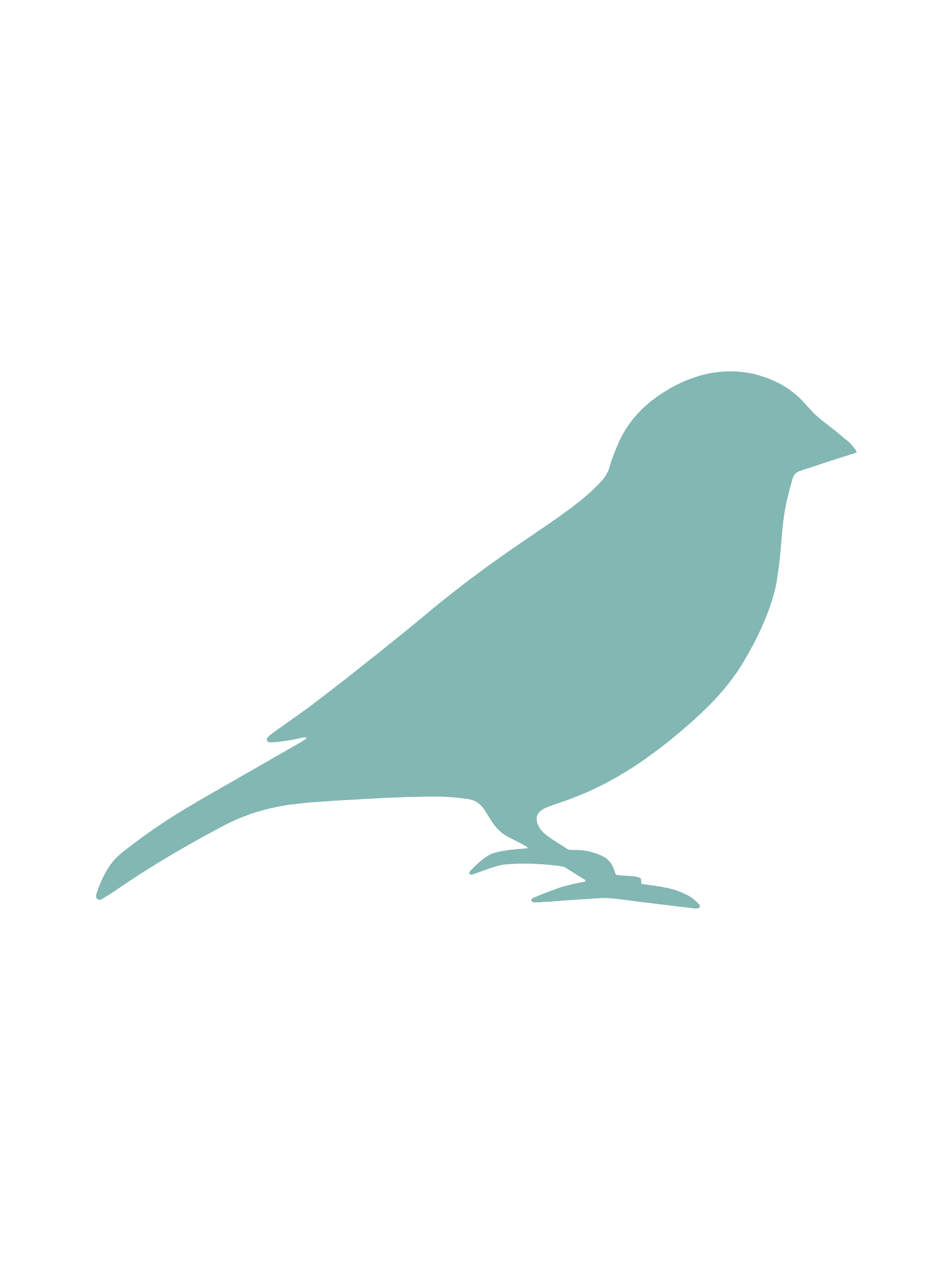 Pest IT Pty Ltd