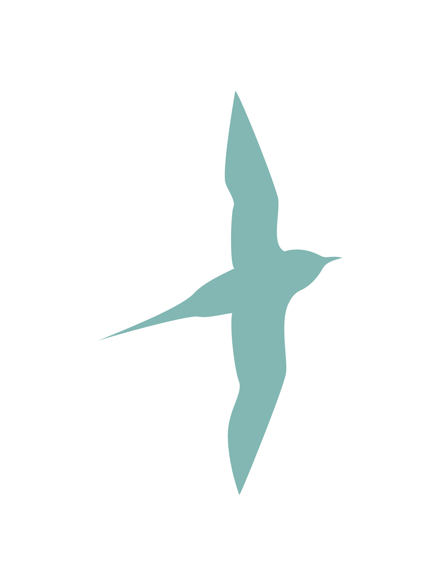 Pest IT Pty Ltd