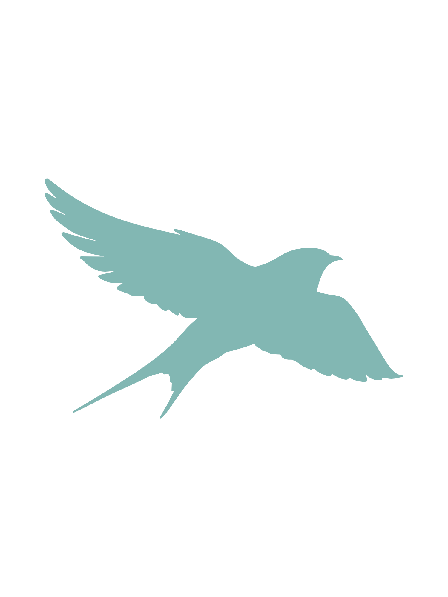 Pest IT Pty Ltd
