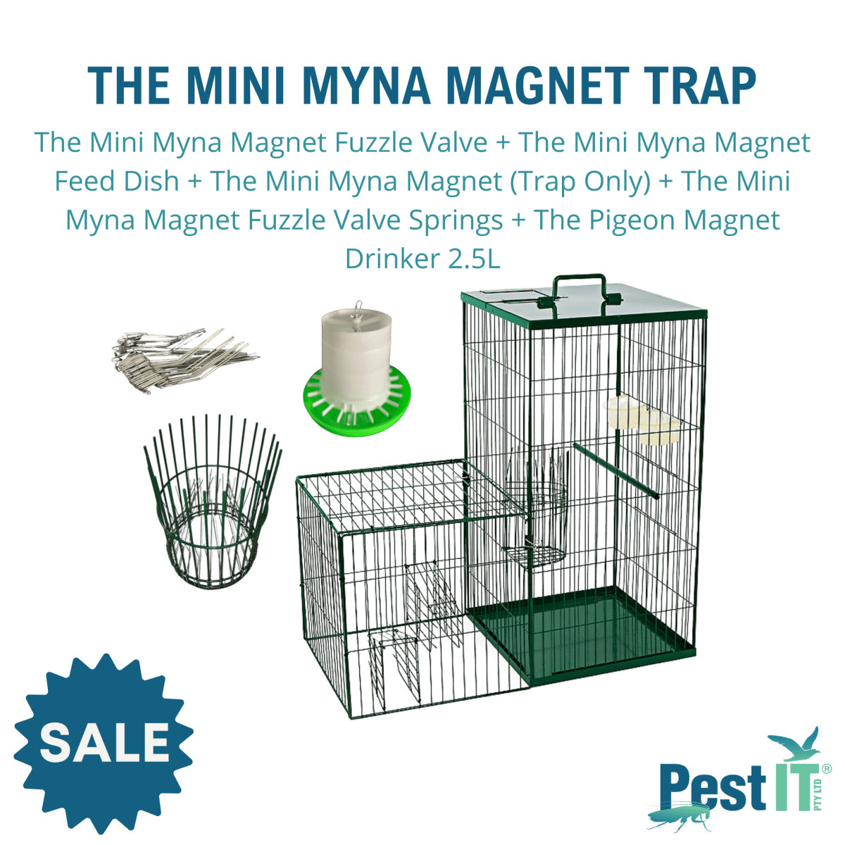 The Mini Myna Magnet Trap Hero