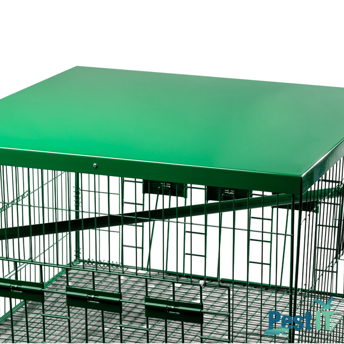 The Pigeon Magnet Trap