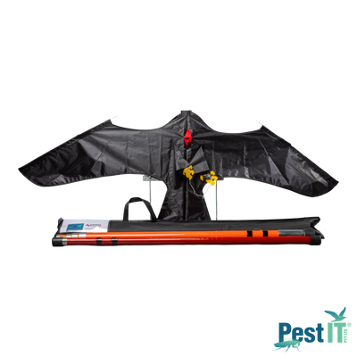 AvePro Bird Scarer Kites