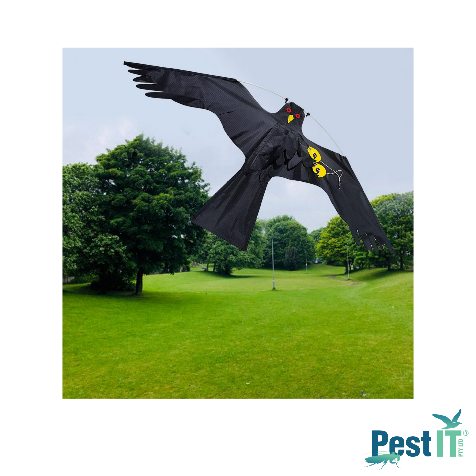 Avepro Bird Scarer Kites Avepro Bird Scarer Kite In Use In Park