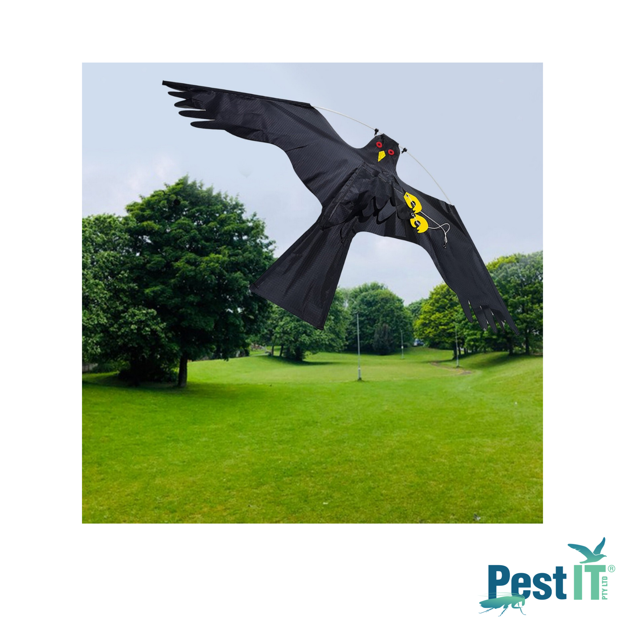 Avepro Bird Scarer Kites Avepro Bird Scarer Kite In Use In Park