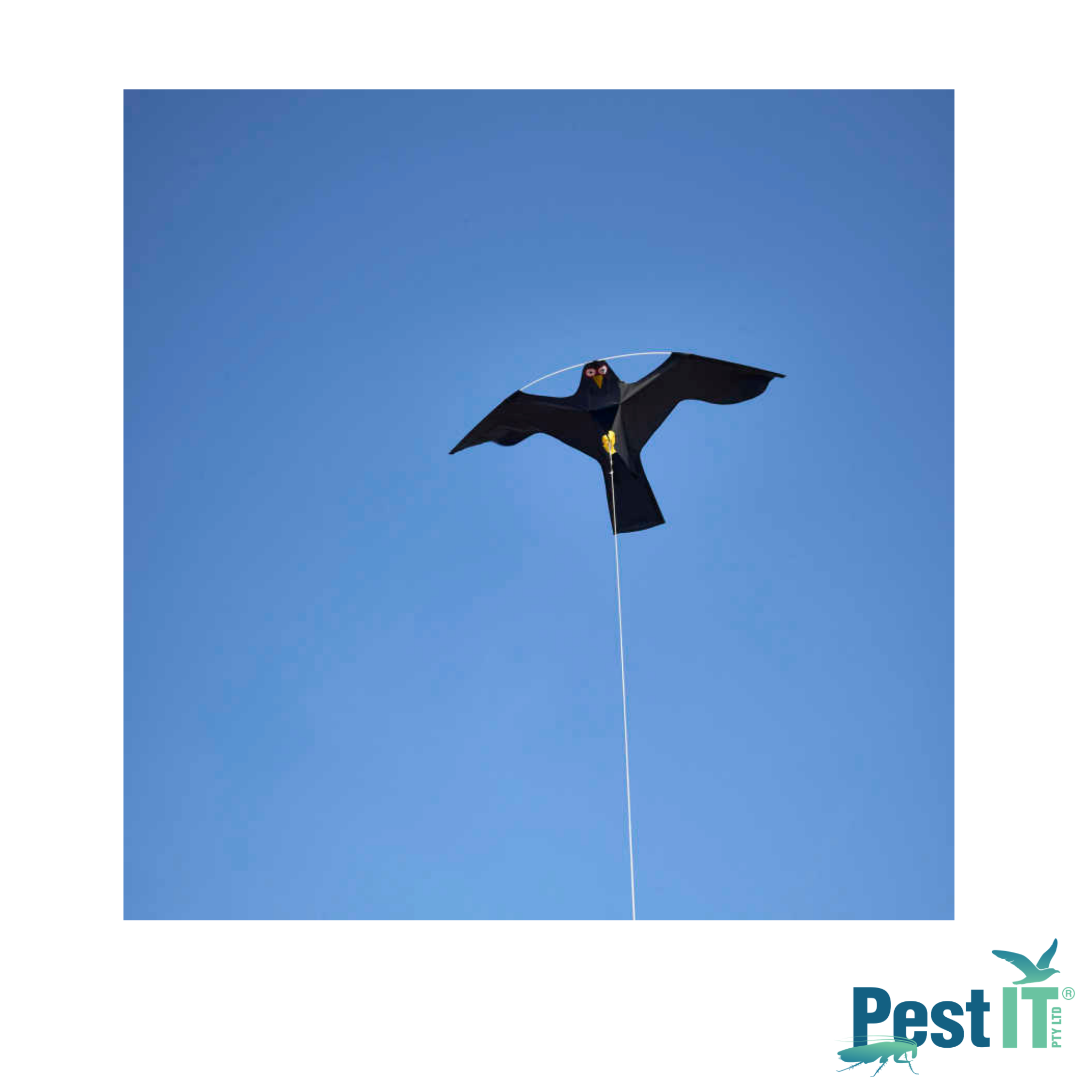 Avepro Bird Scarer Kites Avepro Bird Scarer Kite In Use In Sky