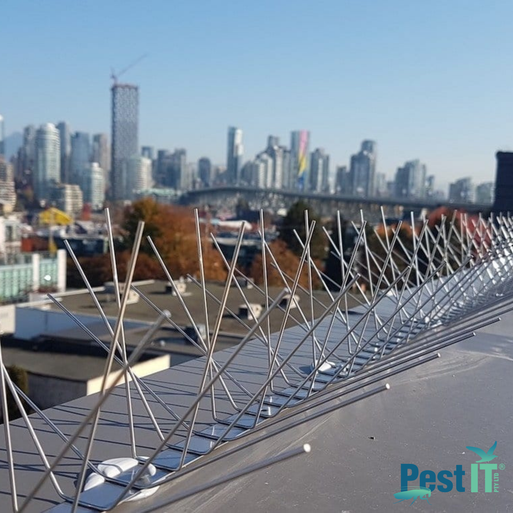 Avepro Bird Spikes Deluxe In Use On Roof Top