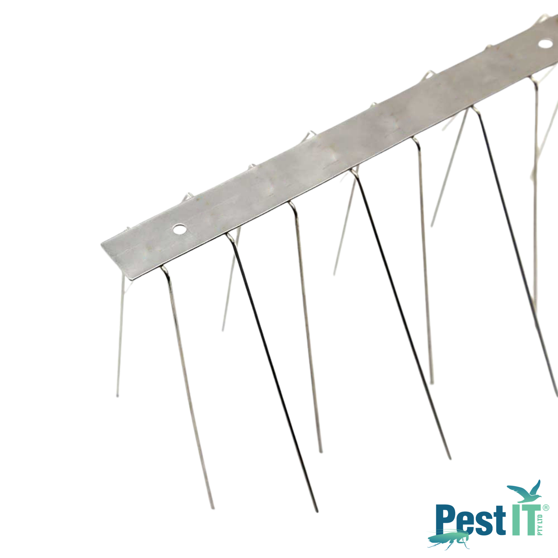Avepro Bird Spikes Deluxe Spike Width Wide Angle Back