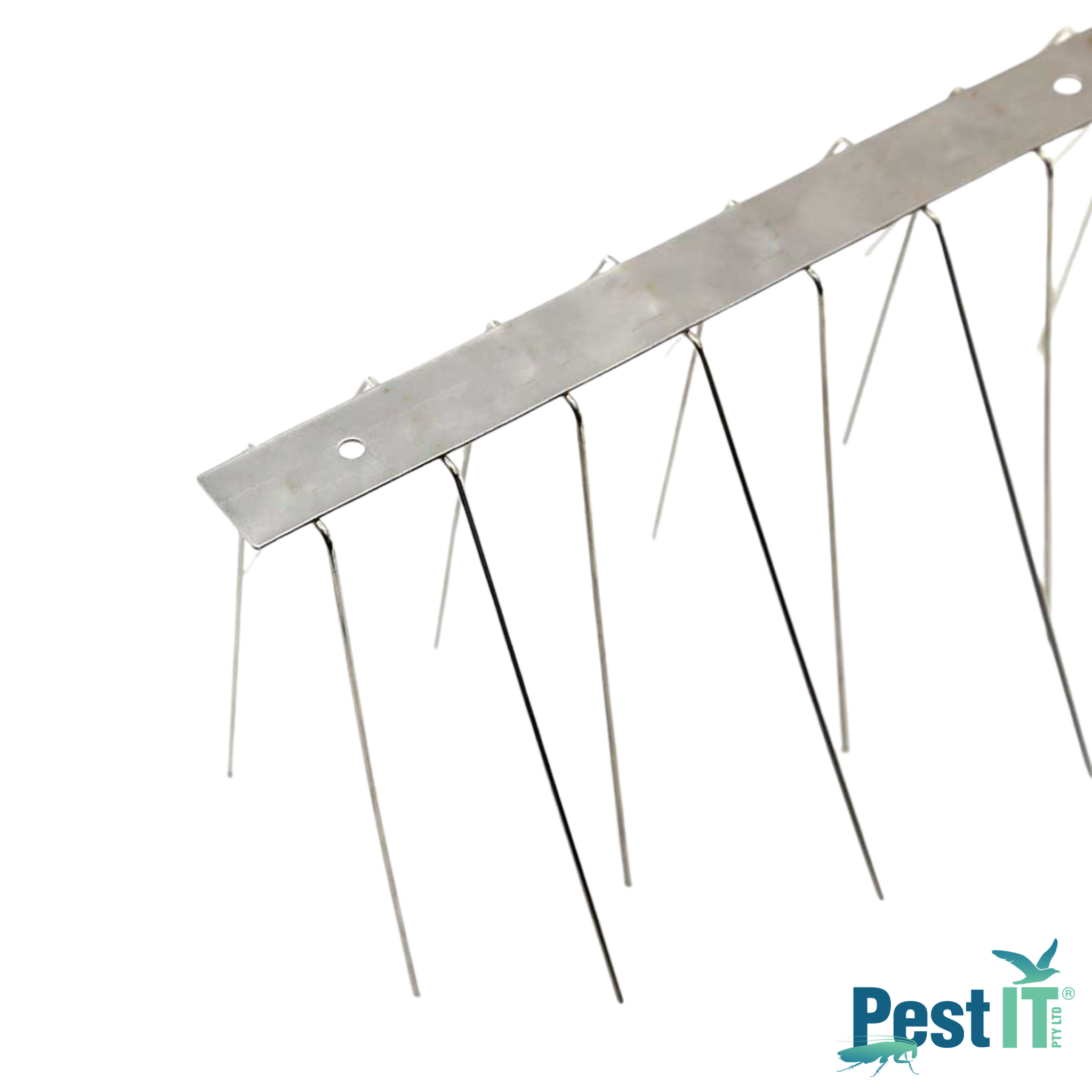 Avepro Bird Spikes Deluxe Spike Width Wide Angle Back