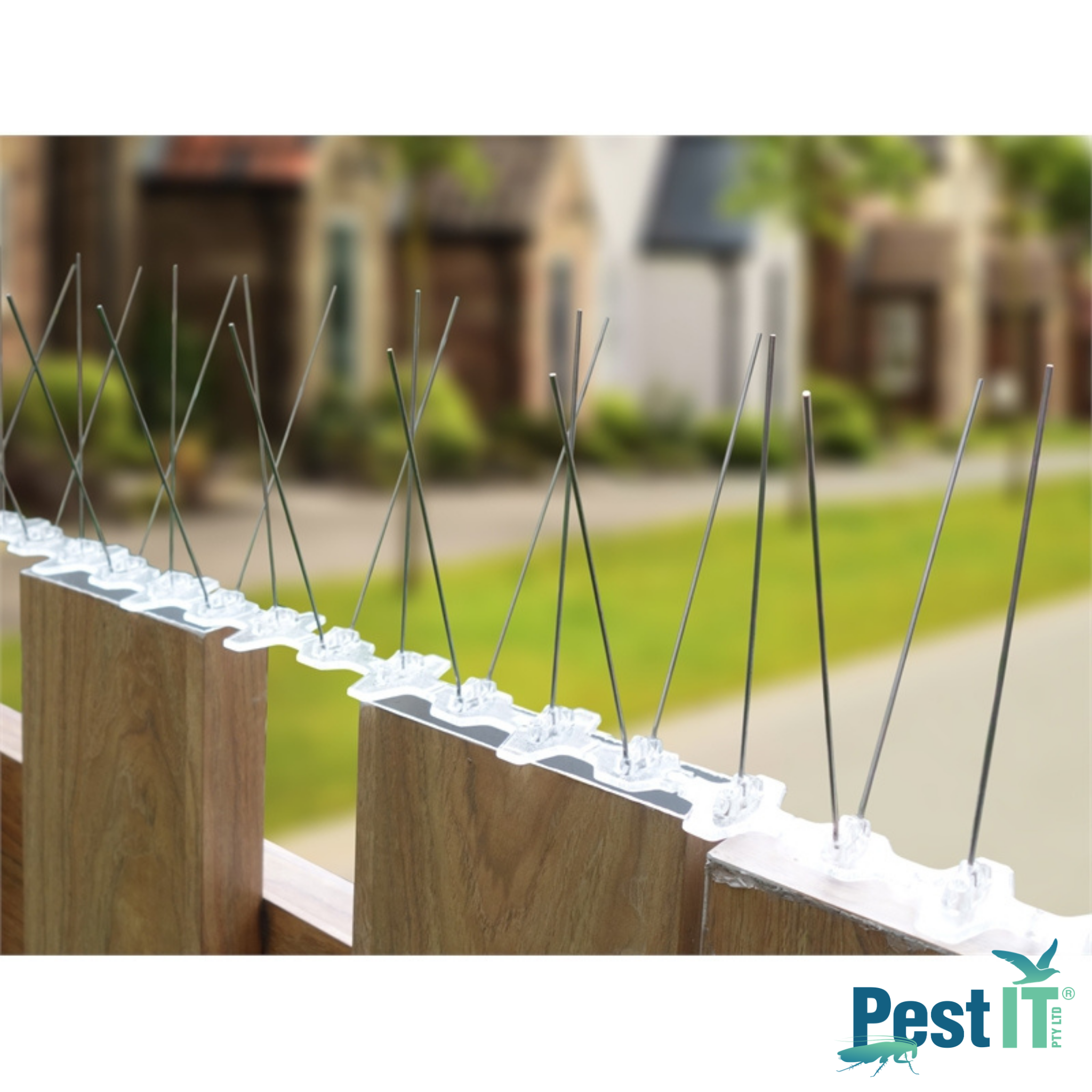 Avepro Bird Spikes Poly Base Spike Width Narrow In Use On Fence