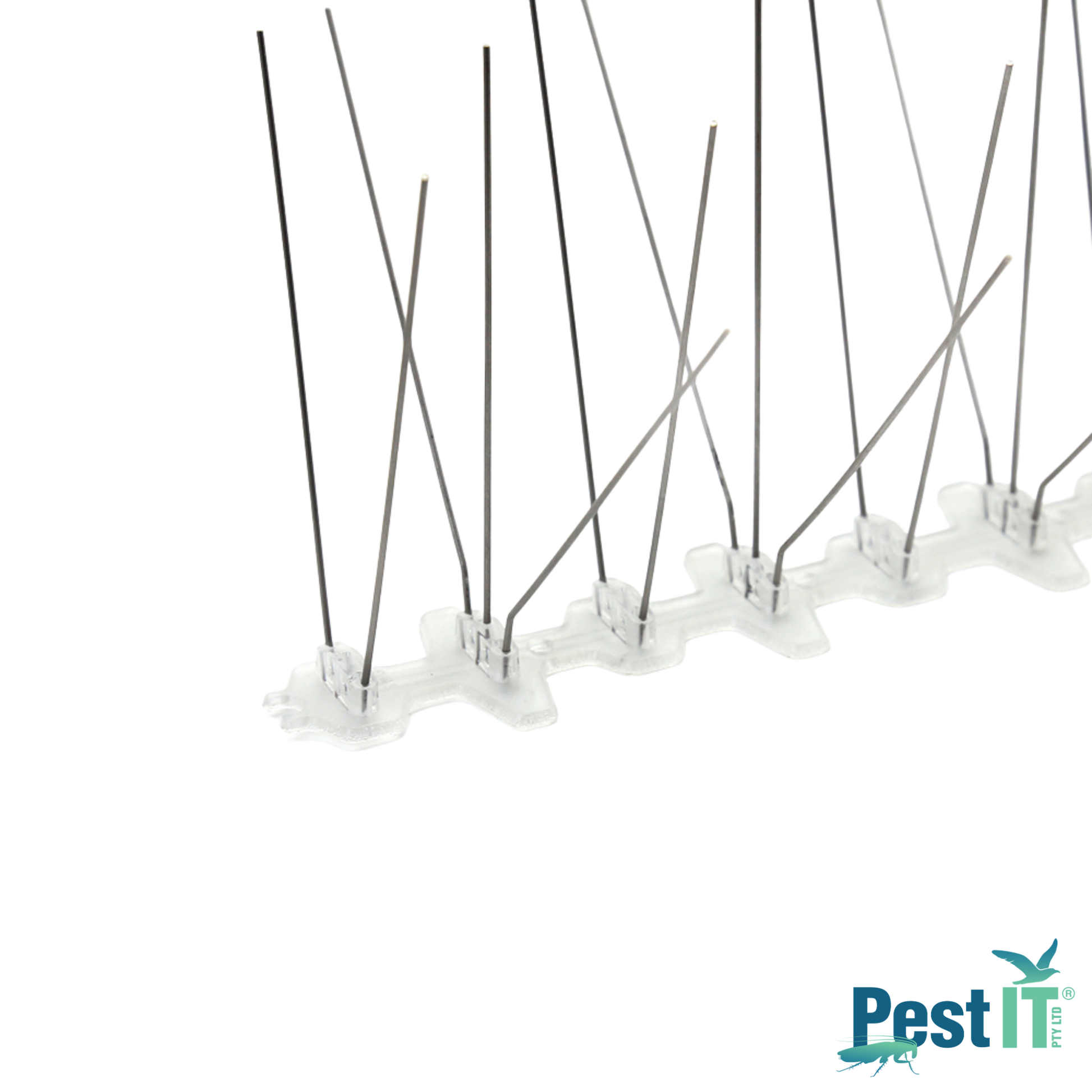 Avepro Bird Spikes Poly Base Spike Width Wide Close Up