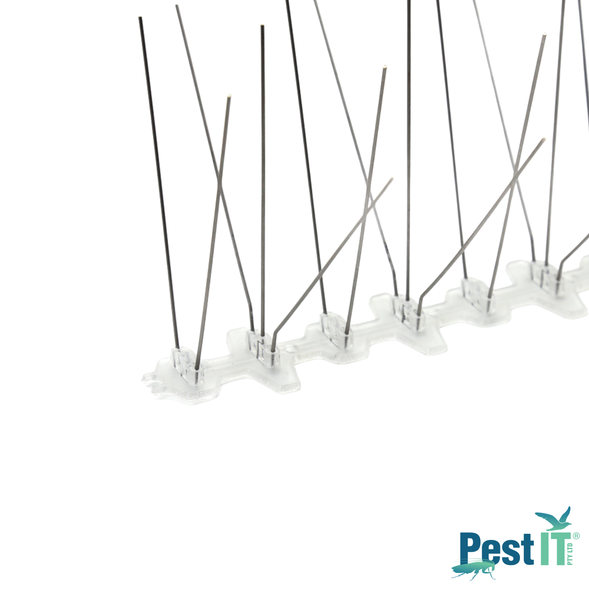 Avepro Bird Spikes Poly Base Spike Width Wide Close Up