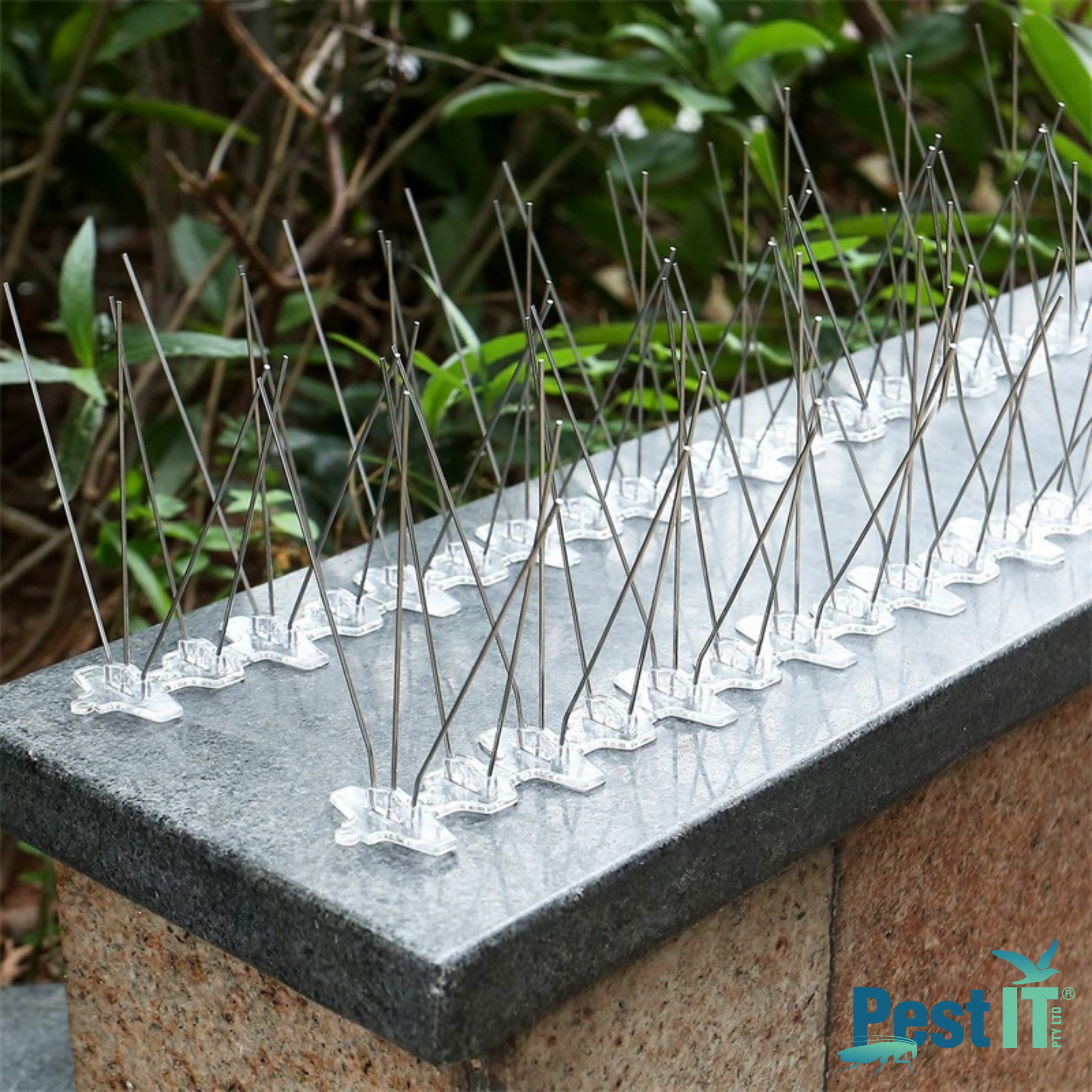 Avepro Bird Spikes Poly Base Spike Width Wide In Use On Retaining Wall