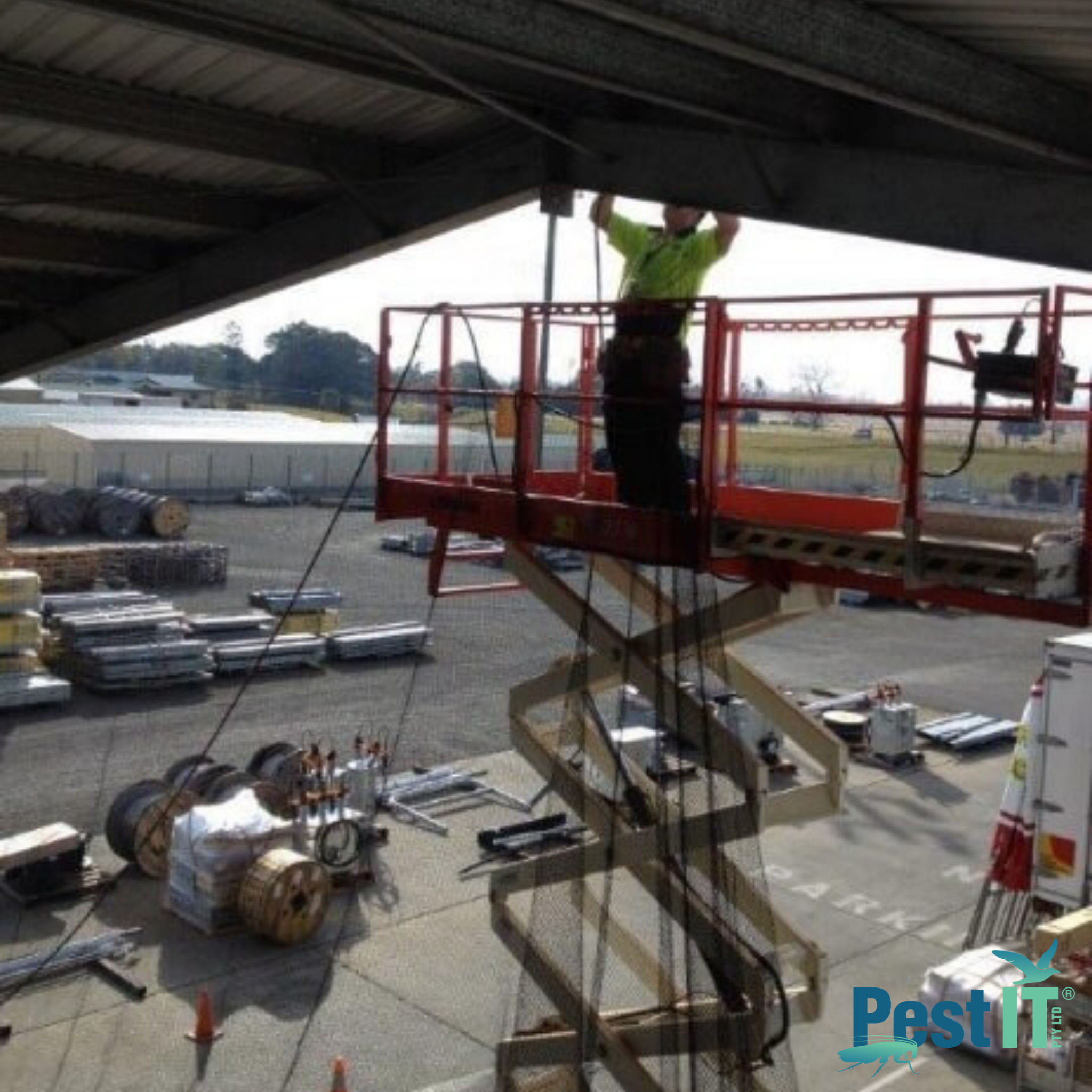 Avepro Deluxe Bird Netting 19Mm In Use Under Roof 4