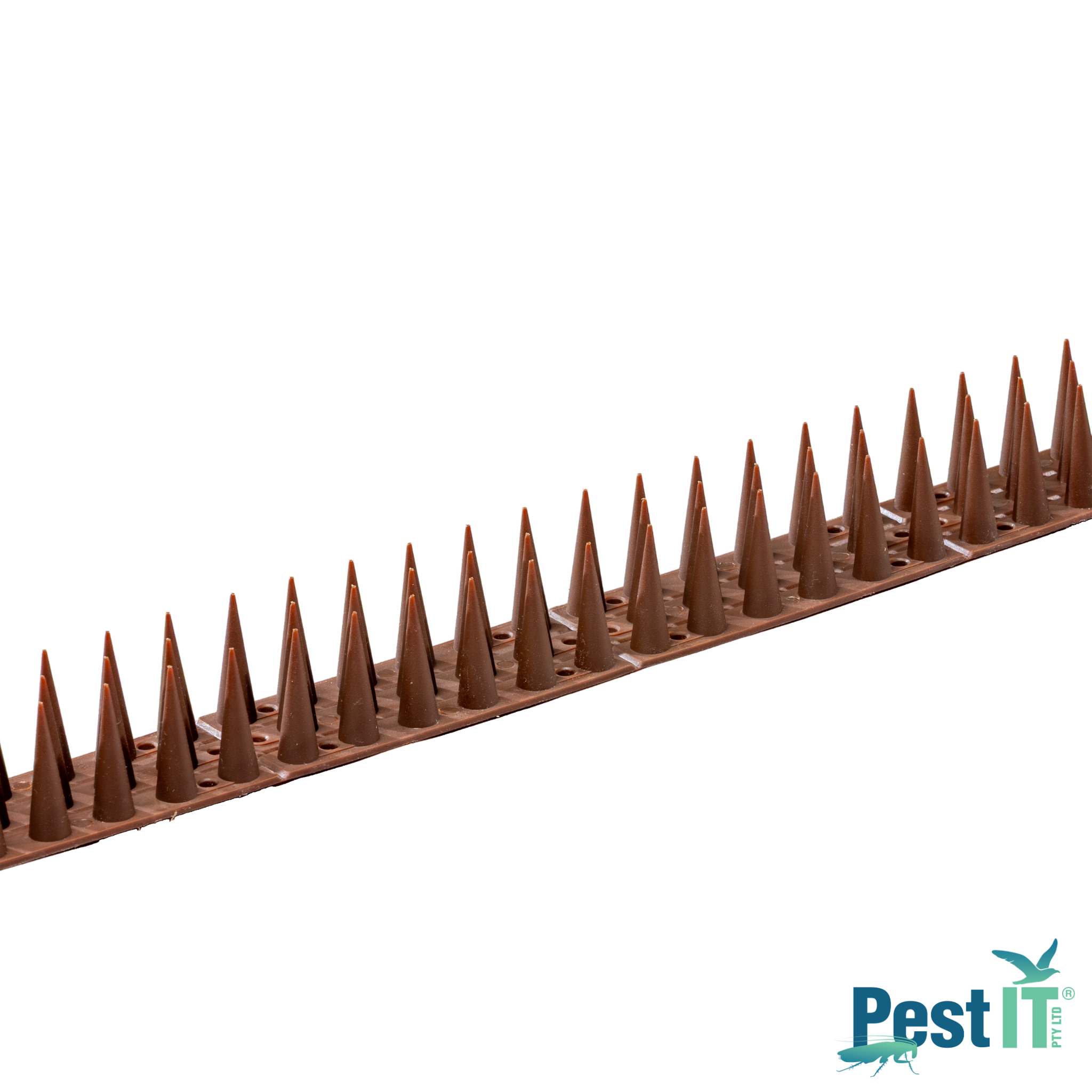 AvePro Possum Spikes